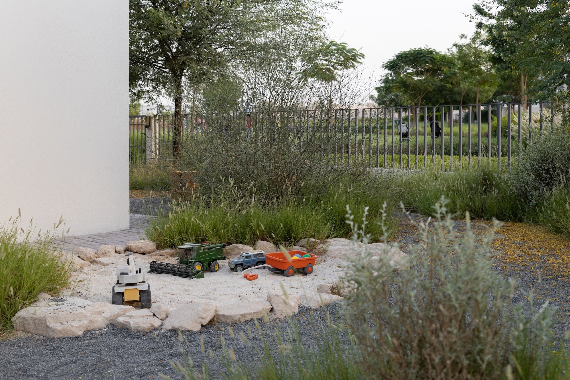 WILDEN Landscape Design Dubai Hills Garden Native Grass - 2.jpeg