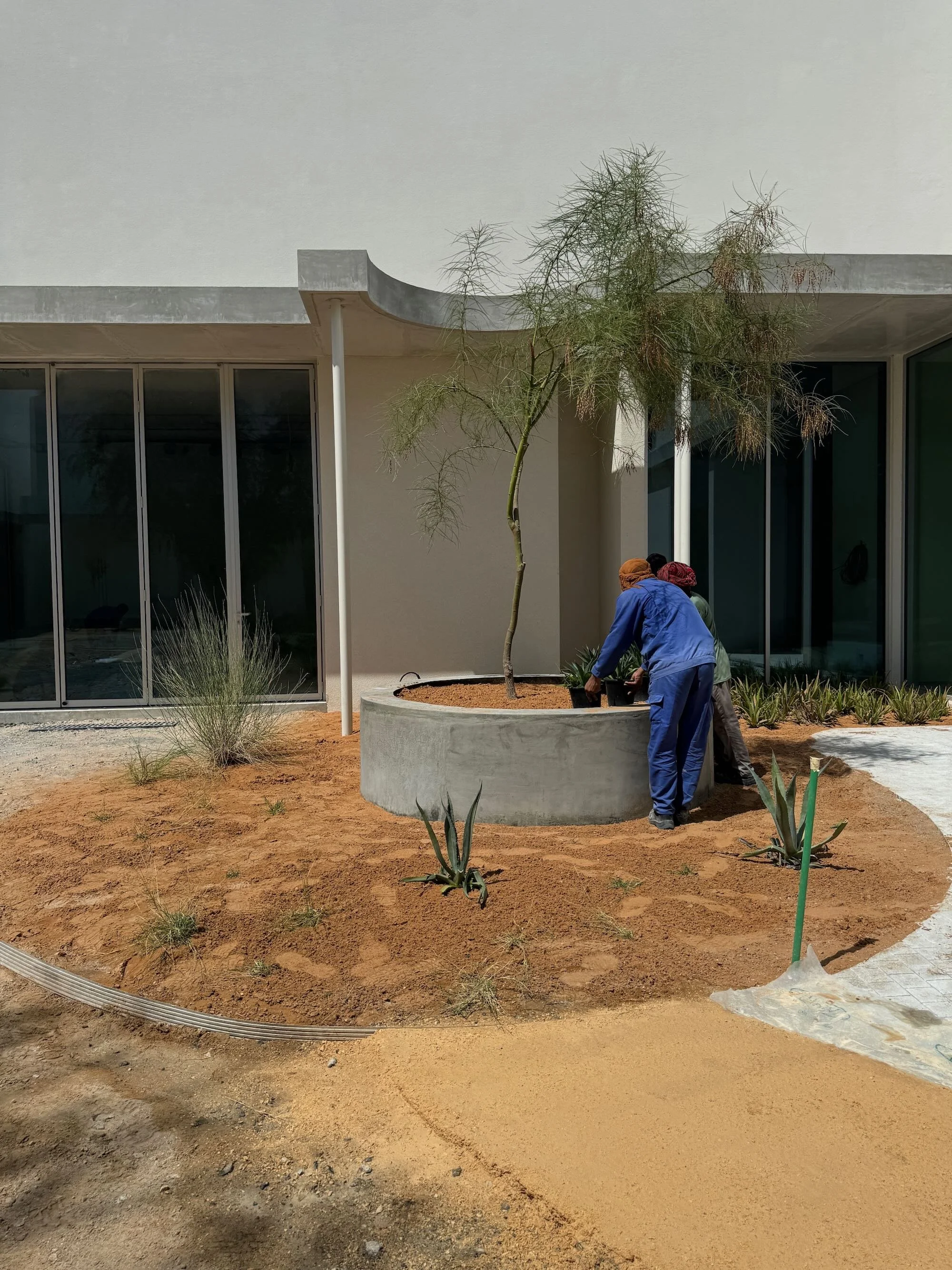 Progress Pics - 19.jpeg