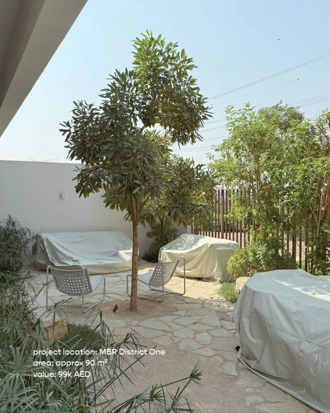 curated garden.jpg