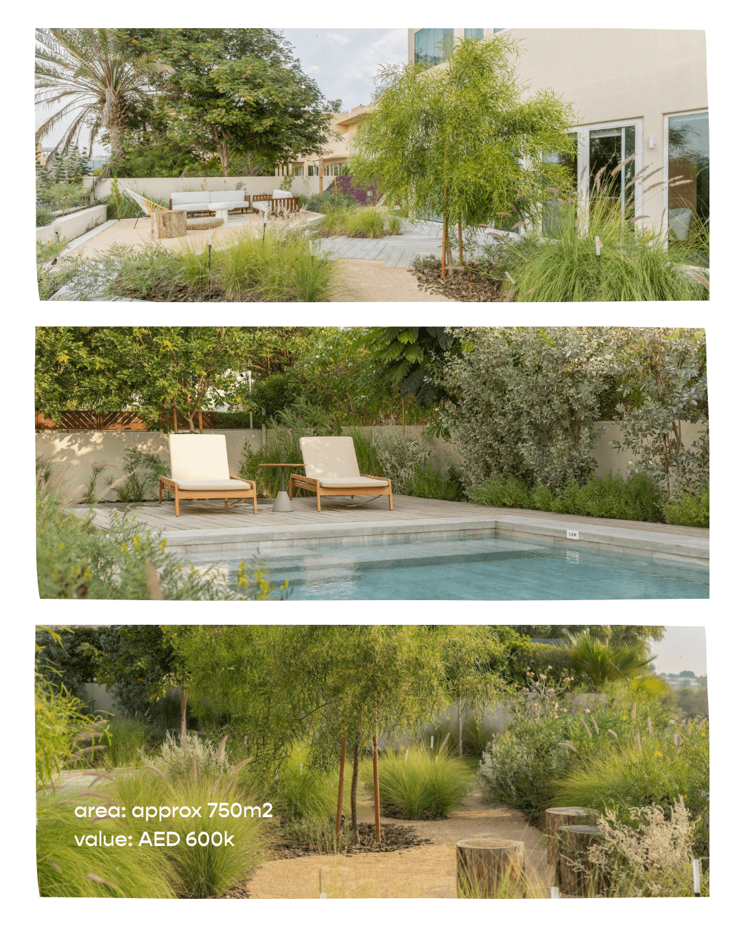 garden with pool.png