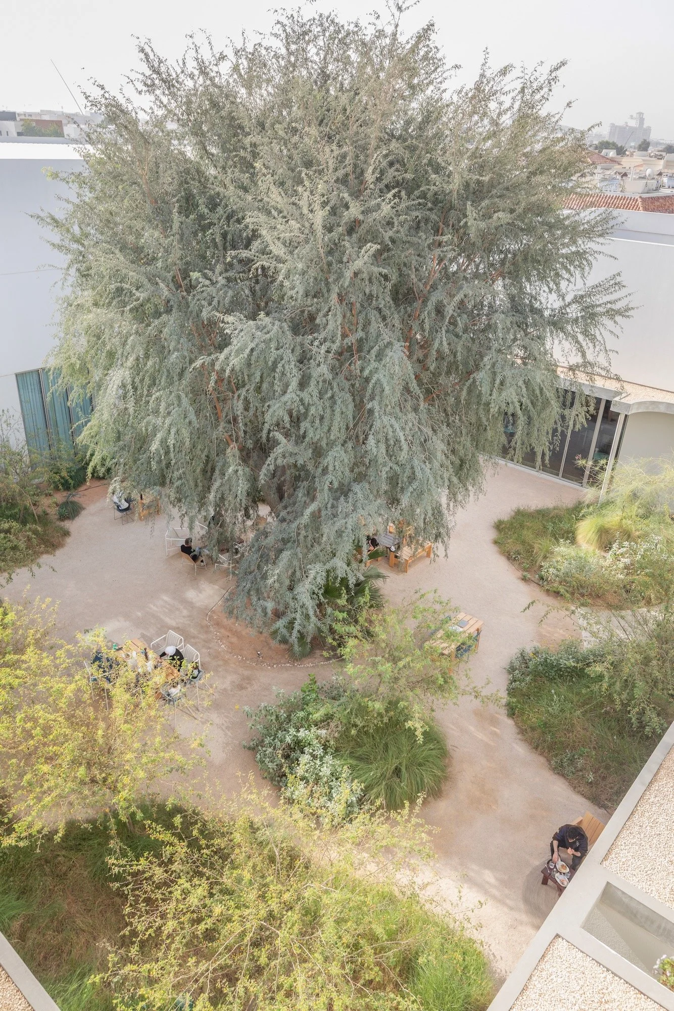 Paus Club Cafe Naturalistic Landscape Dubai - 4.jpeg