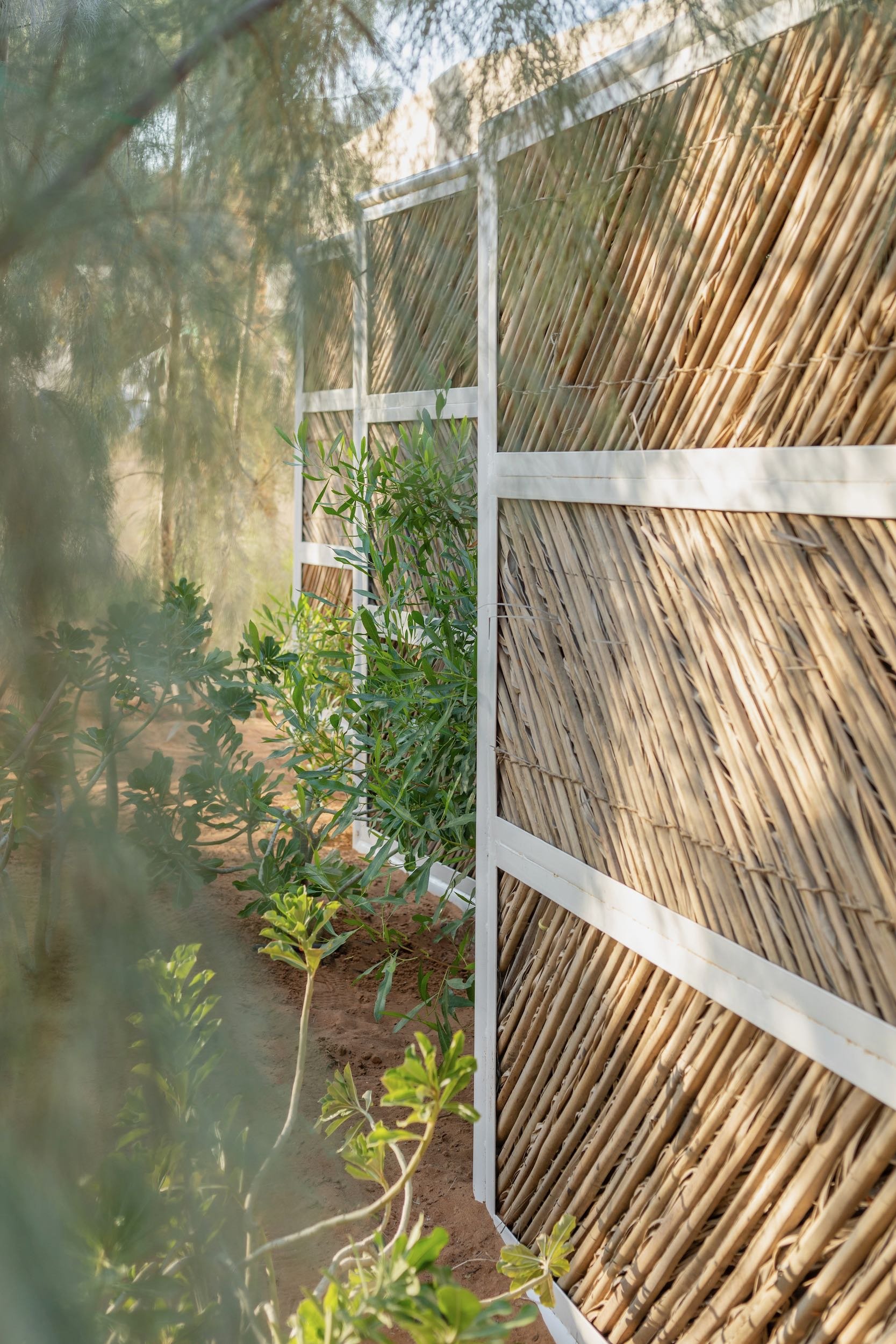 WILDEN secret garden Ras Al Khaimah UAE landscape design naturalistic repurposed wild - 29.jpeg