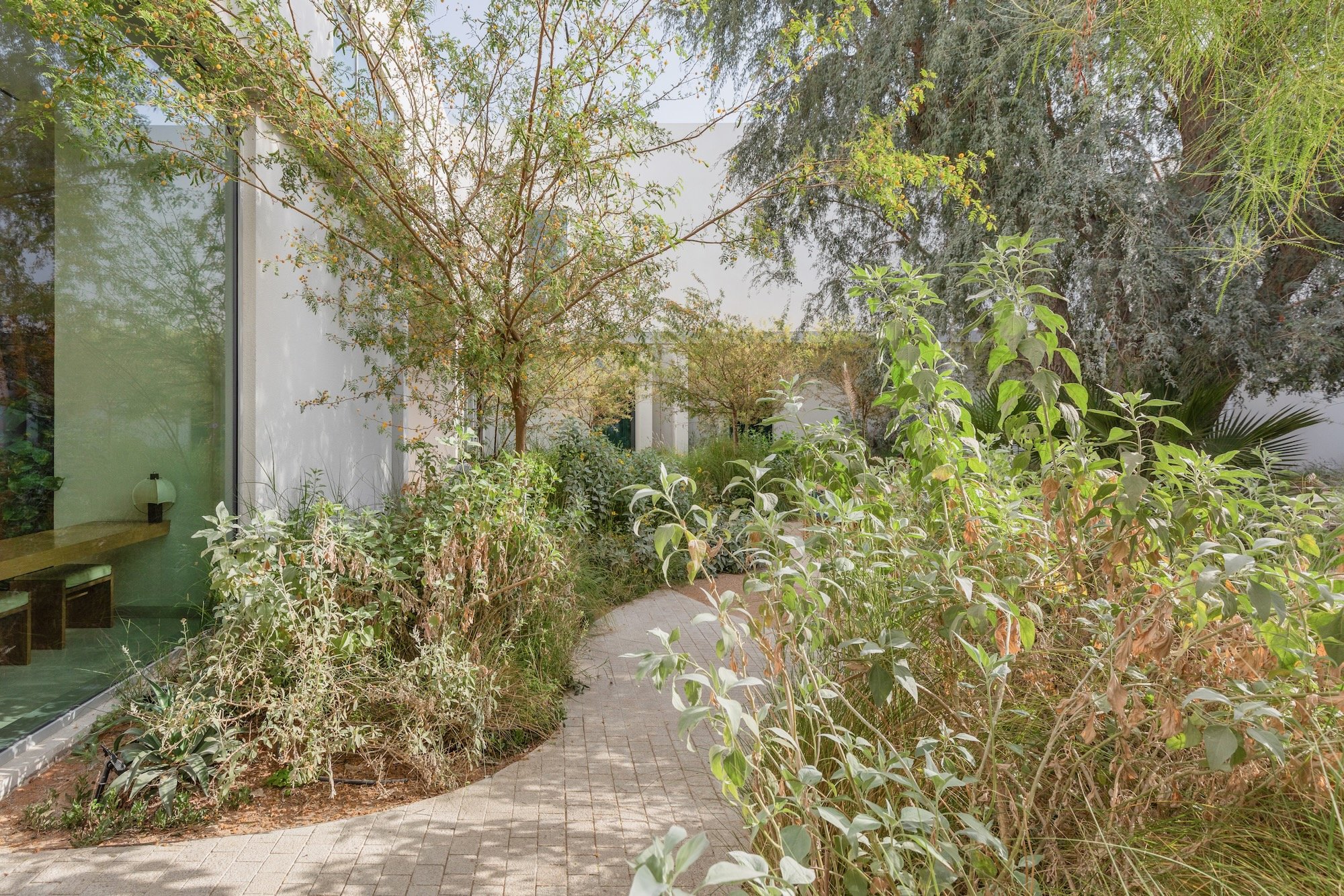 Paus Club Cafe Naturalistic Landscape Dubai - 3.jpeg