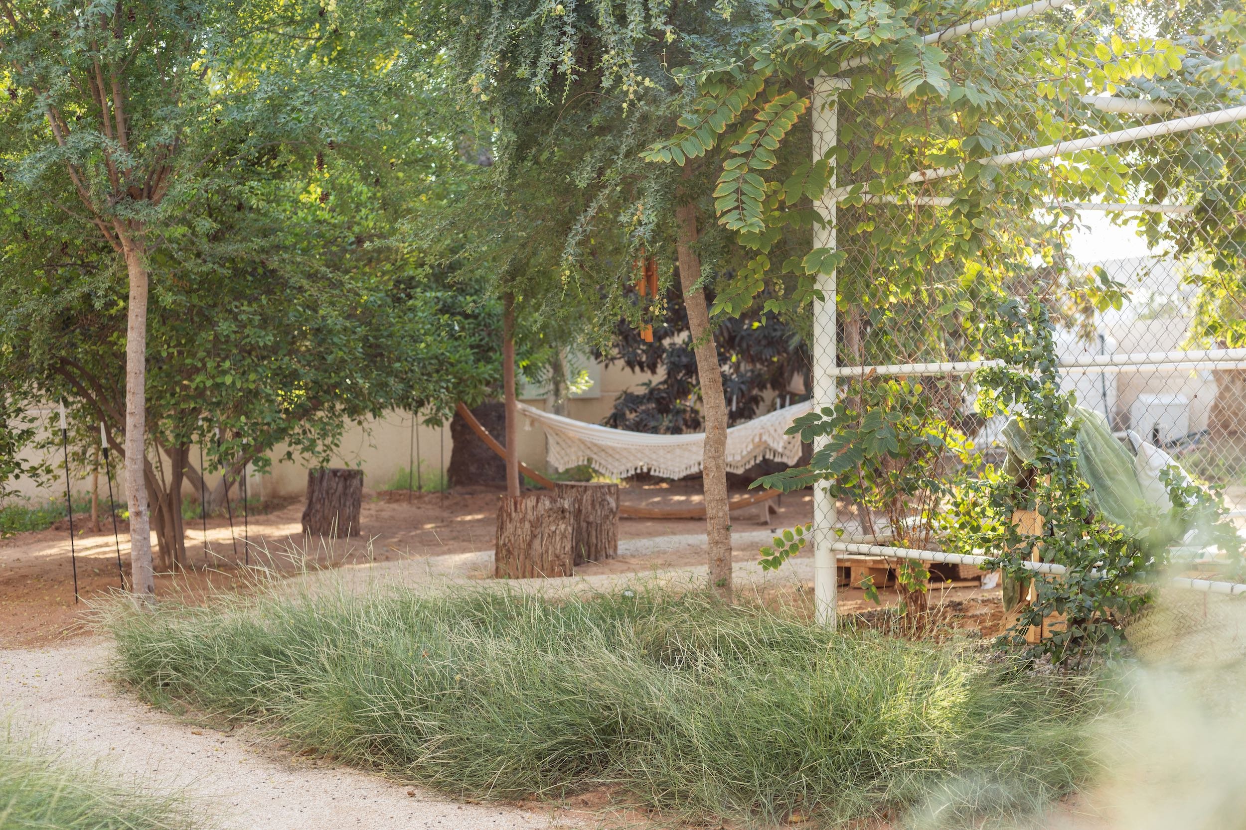 WILDEN secret garden Ras Al Khaimah UAE landscape design naturalistic repurposed wild - 23.jpeg
