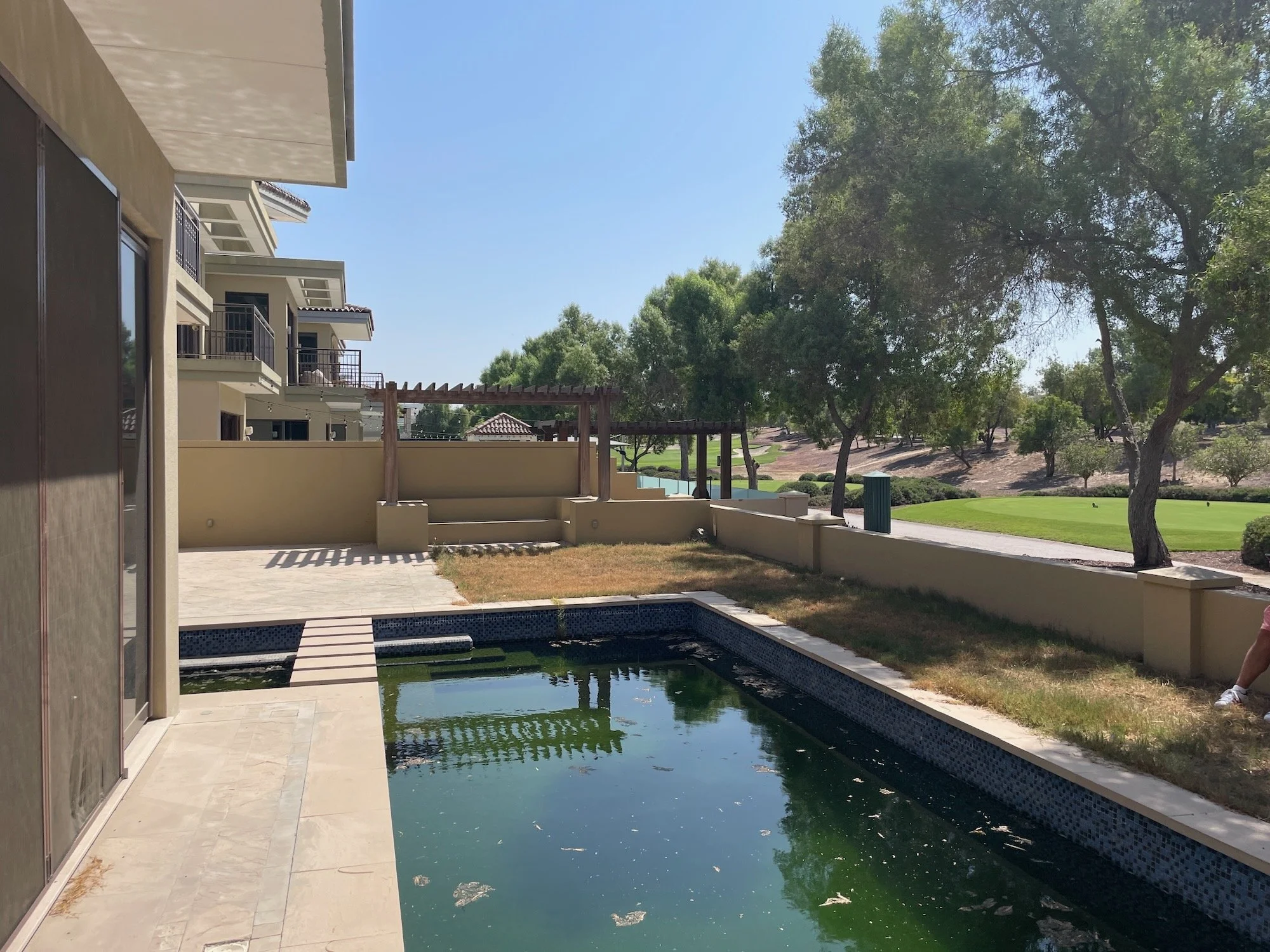 SF62- Progress 11.jpeg