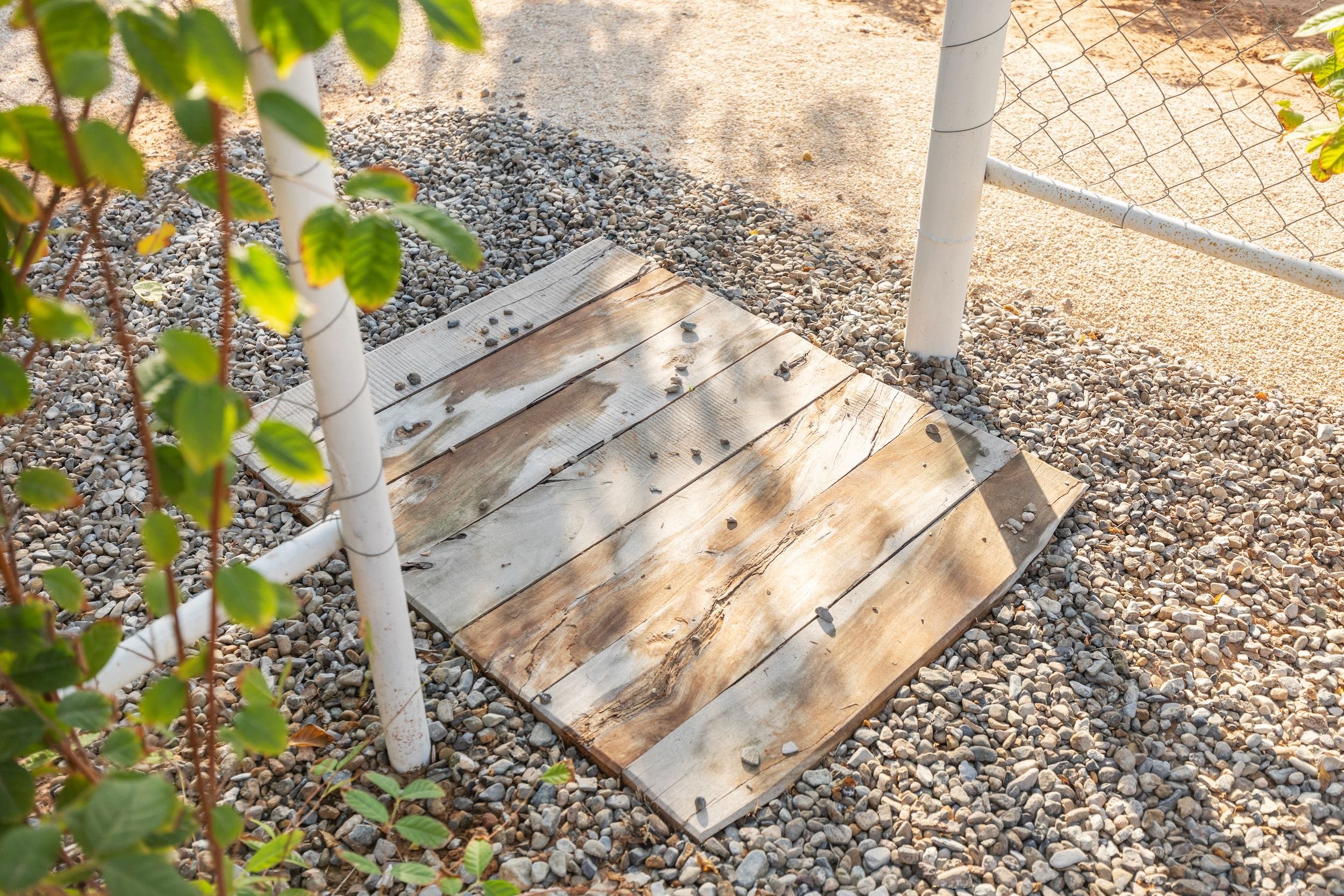 WILDEN secret garden Ras Al Khaimah UAE landscape design naturalistic repurposed wild - 9.jpeg