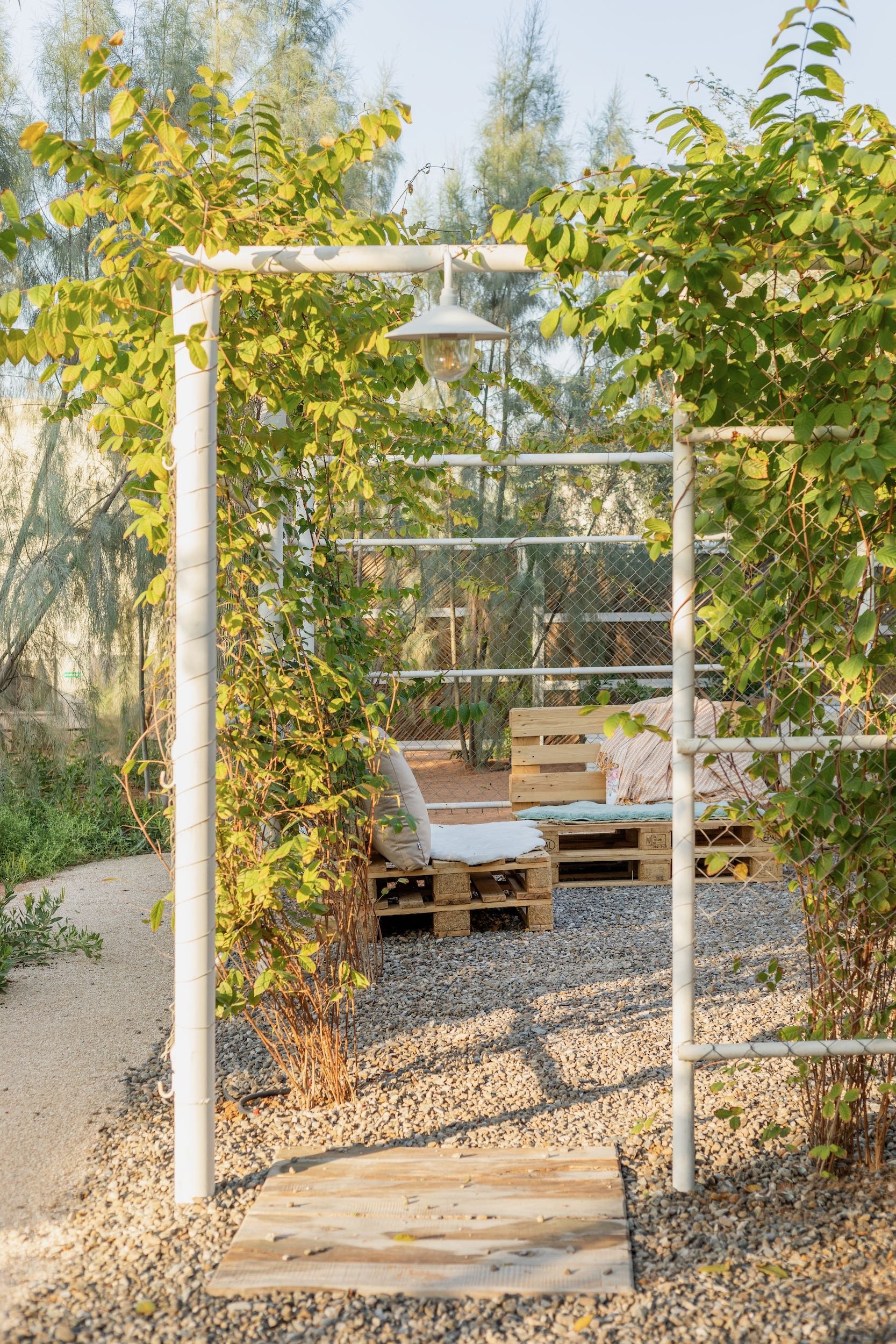 WILDEN secret garden Ras Al Khaimah UAE landscape design naturalistic repurposed wild - 30.jpeg