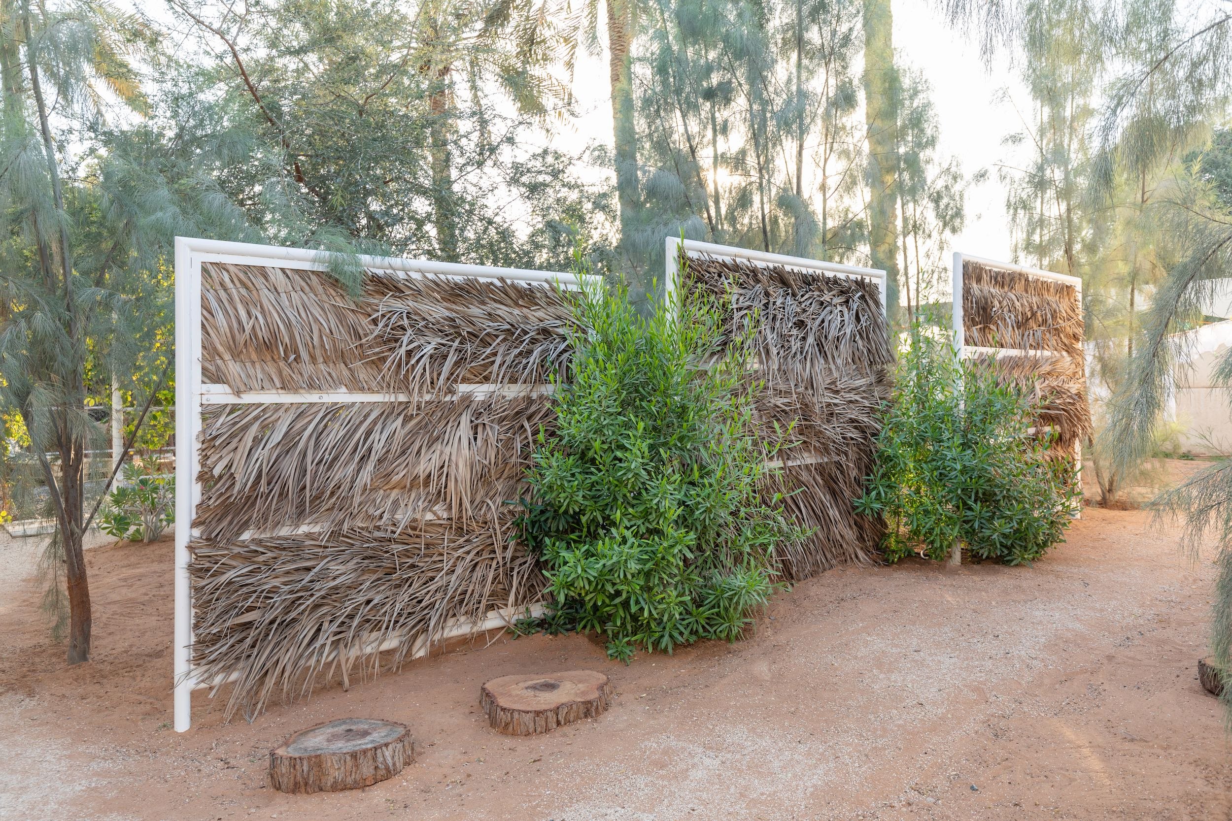 WILDEN secret garden Ras Al Khaimah UAE landscape design naturalistic repurposed wild - 5.jpeg