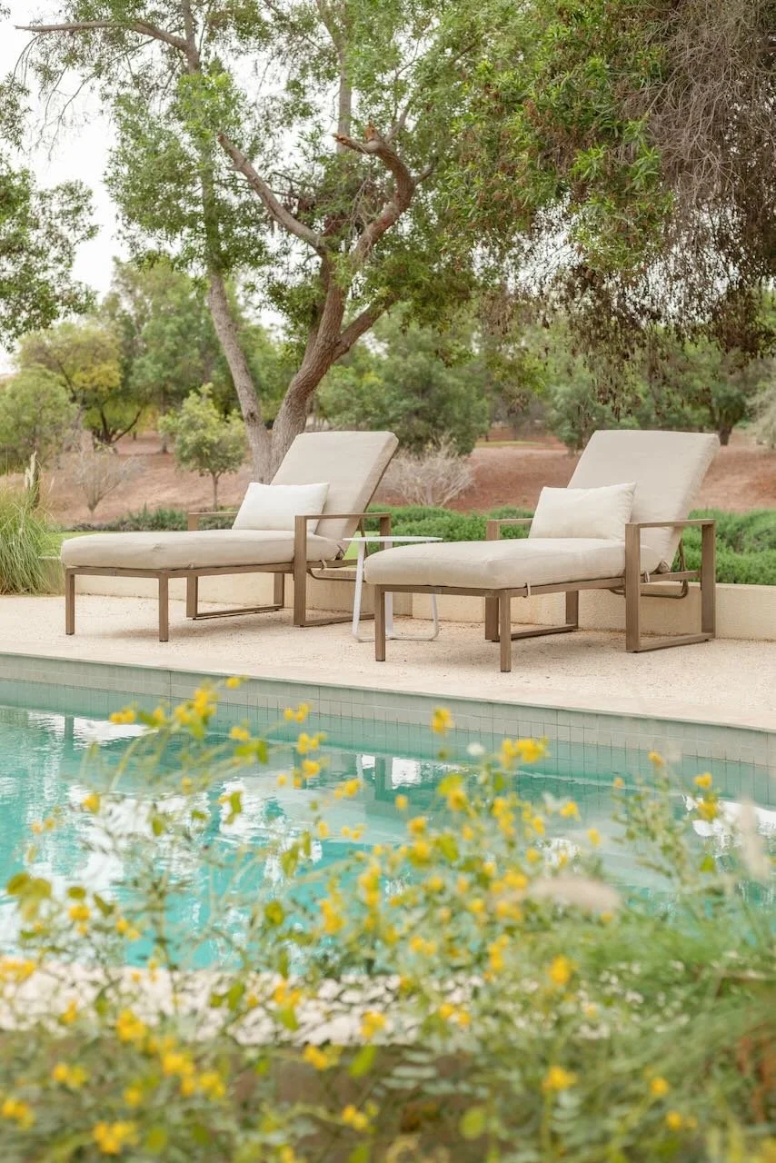 Dubai contemporary garden Sanctuary Falls WILDEN  - 21.jpeg