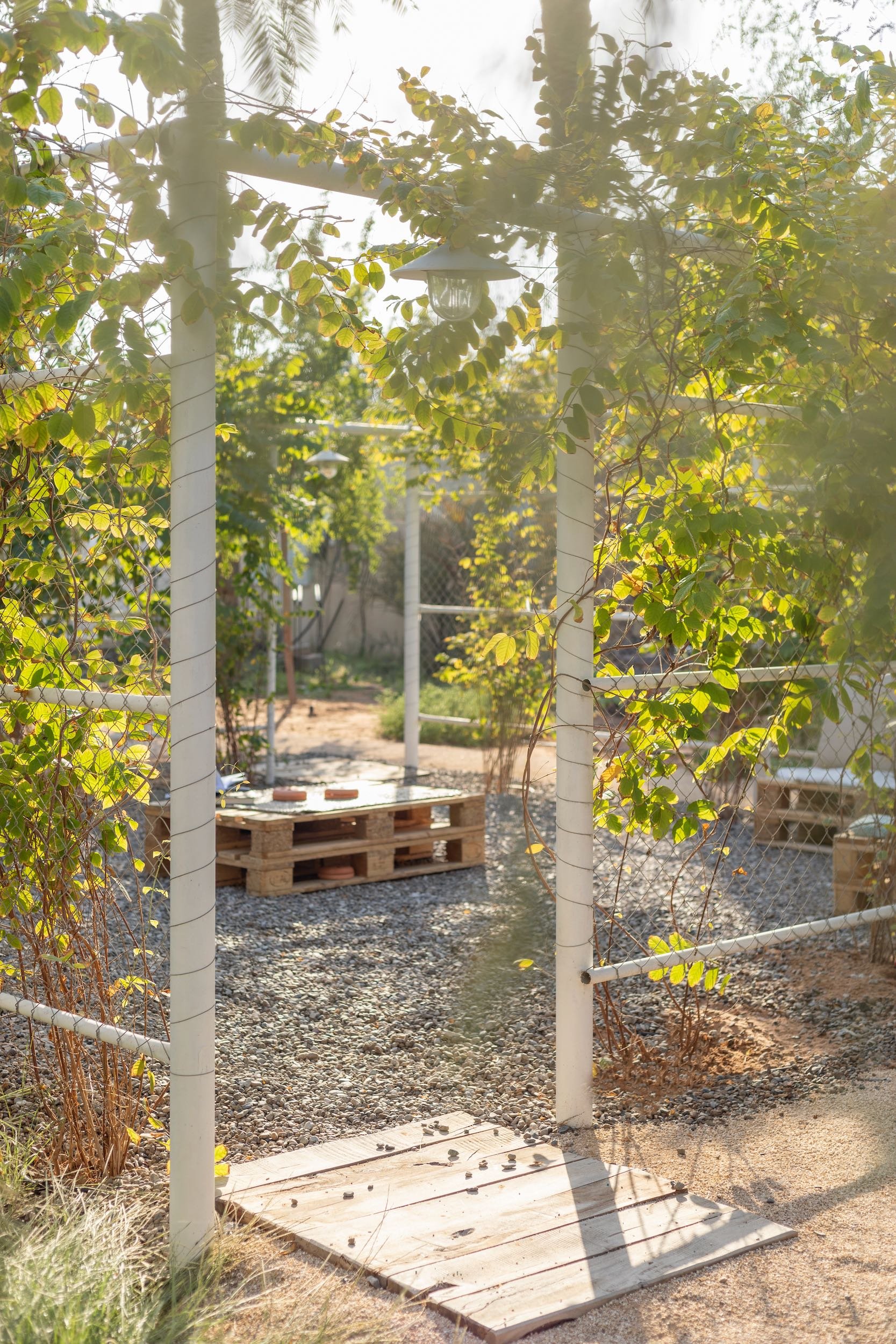 WILDEN secret garden Ras Al Khaimah UAE landscape design naturalistic repurposed wild - 10.jpeg