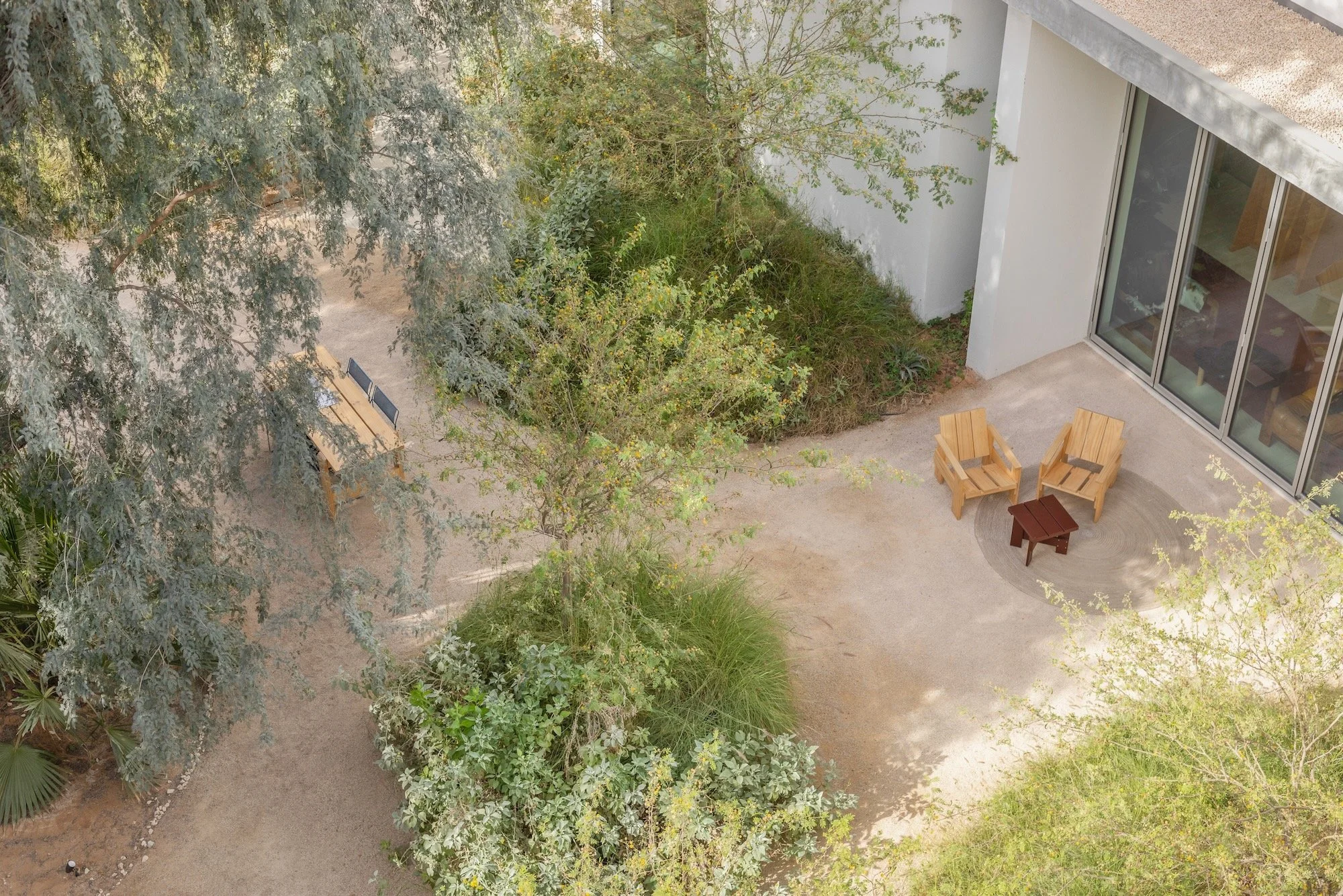 Paus Club Cafe Naturalistic Landscape Dubai - 7.jpeg