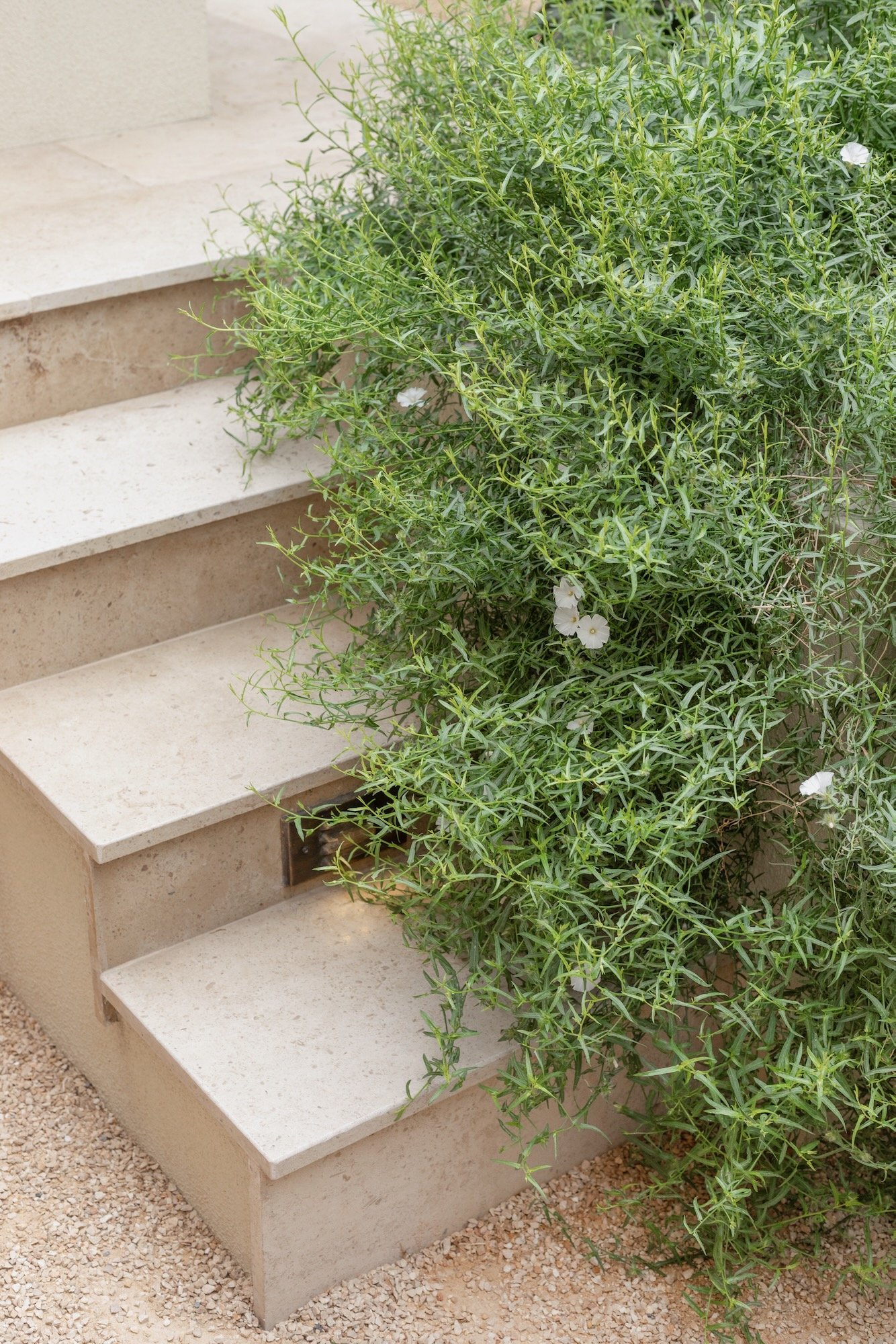 WILDEN Dubai Sustainable City Modern Garden - 2.jpeg