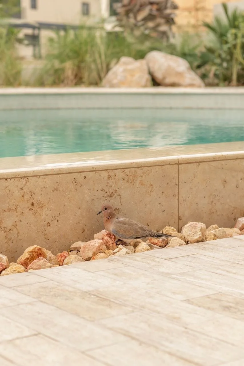 Dubai contemporary garden Sanctuary Falls WILDEN  - 27.jpeg