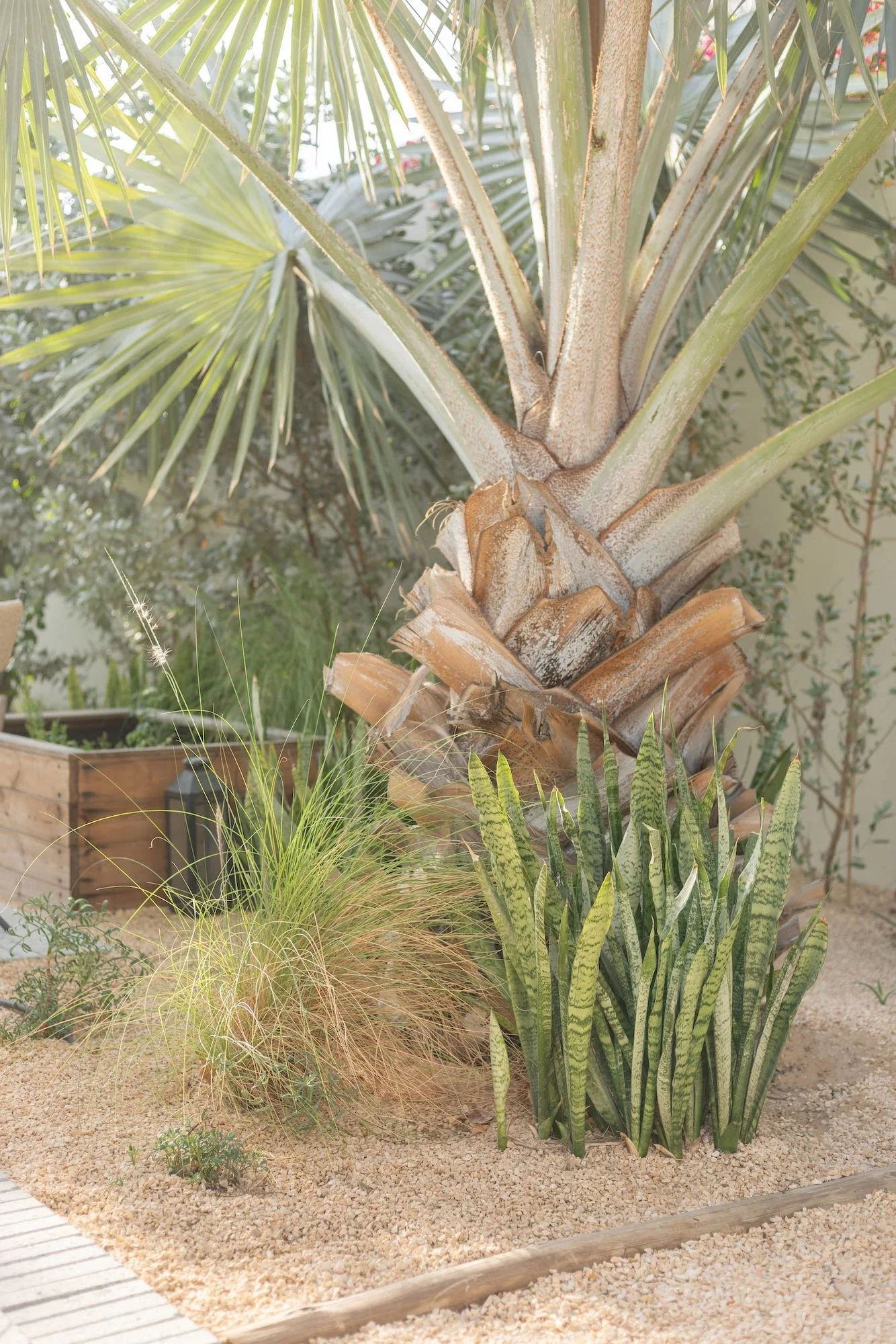 WILDEN Mira Dubai residential garden - 10.jpeg