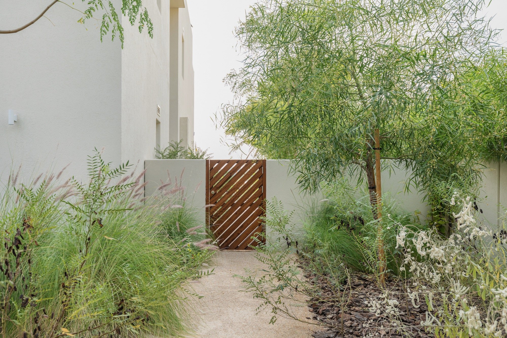 WILDEN Garden Design Desert Landscape Native Planting Saheel Arabian Ranches - 3.jpeg