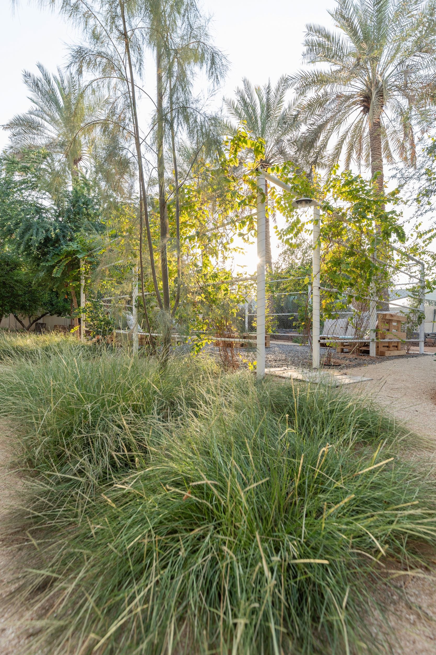 WILDEN secret garden Ras Al Khaimah UAE landscape design naturalistic repurposed wild - 31.jpeg