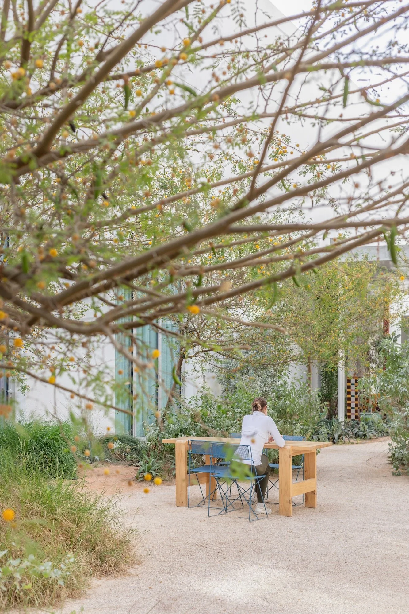 Paus Club Cafe Naturalistic Landscape Dubai - 6.jpeg