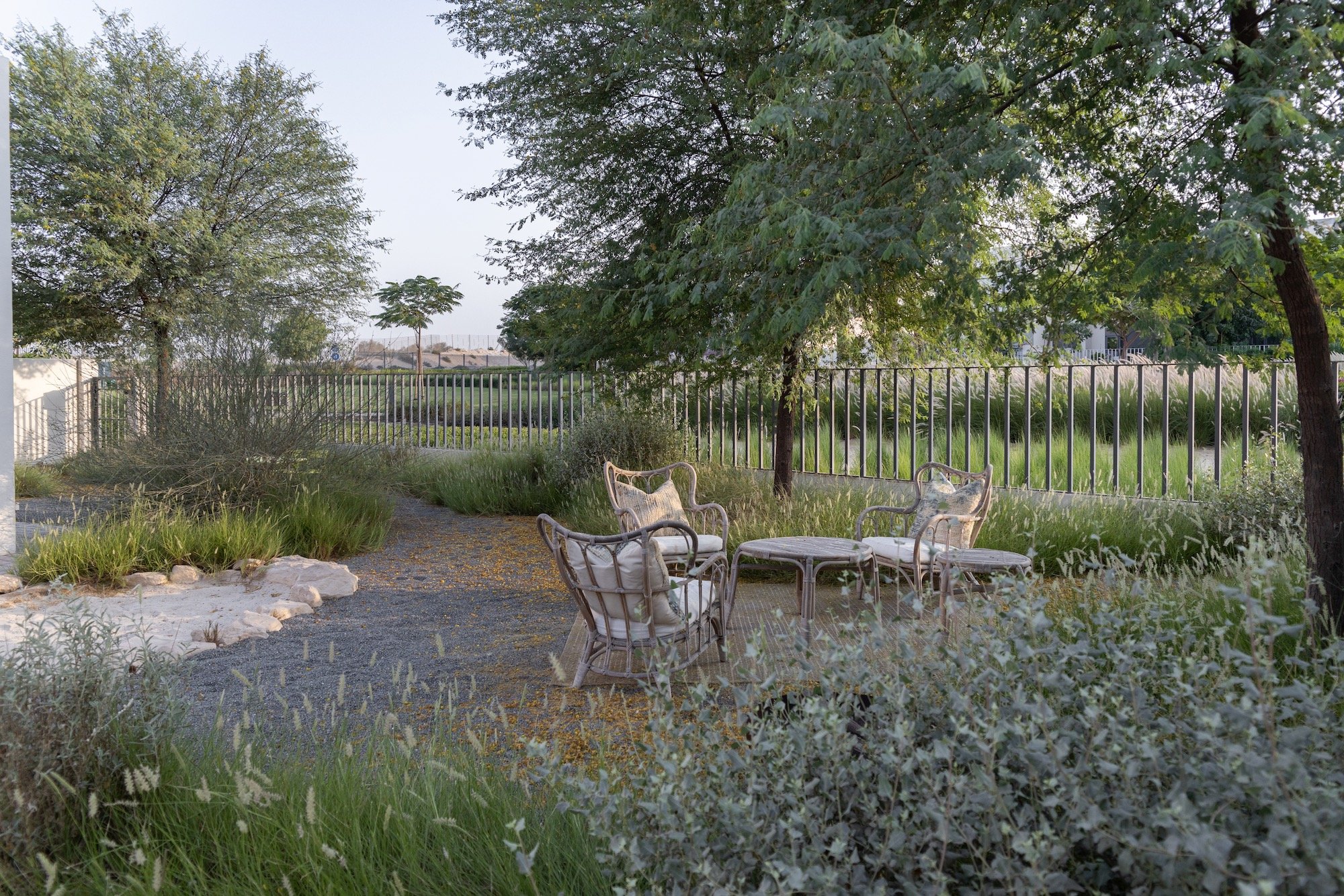 WILDEN Landscape Design Dubai Hills Garden Native Grass - 9.jpeg