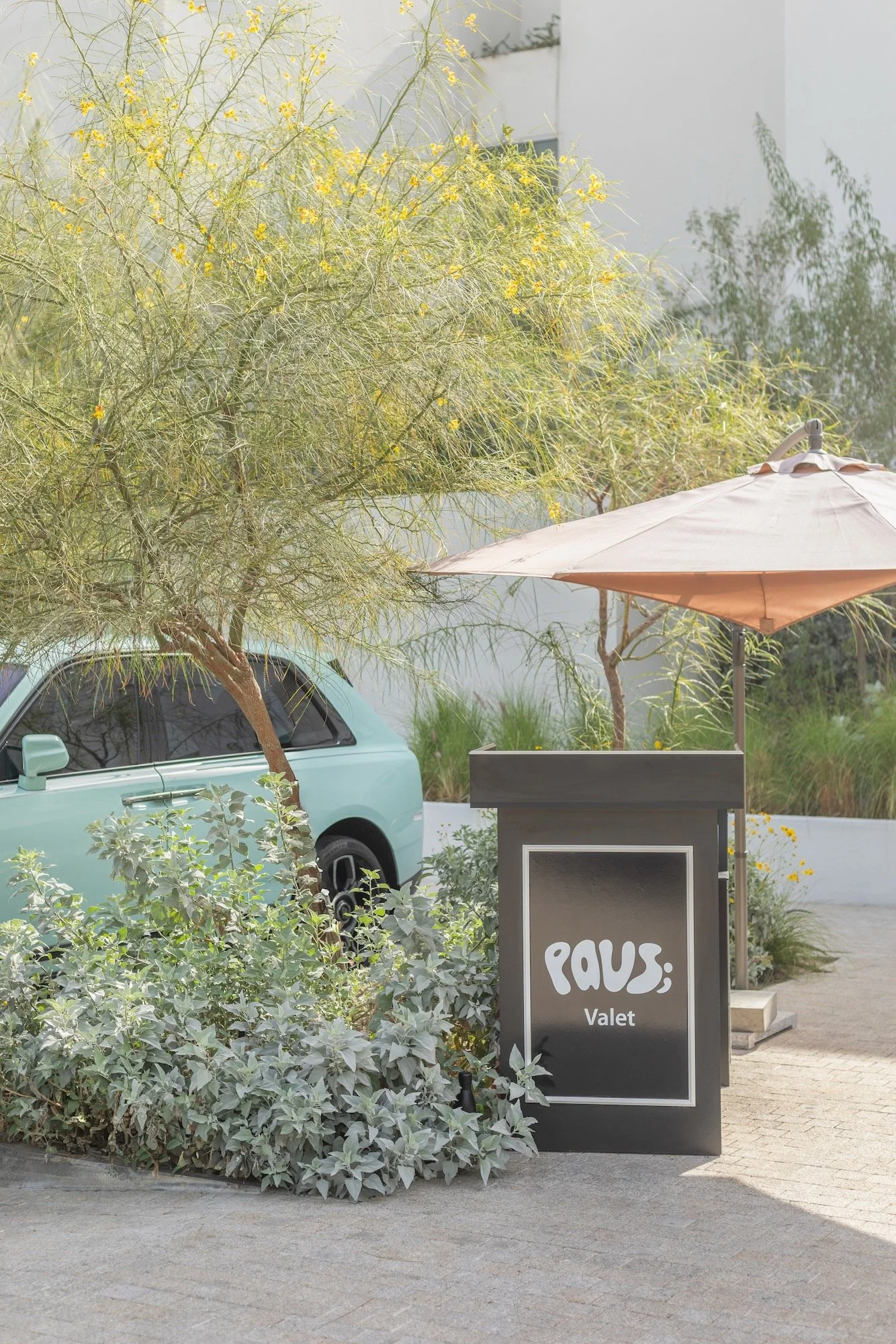 Paus Club Cafe Naturalistic Landscape Dubai - 12.jpeg