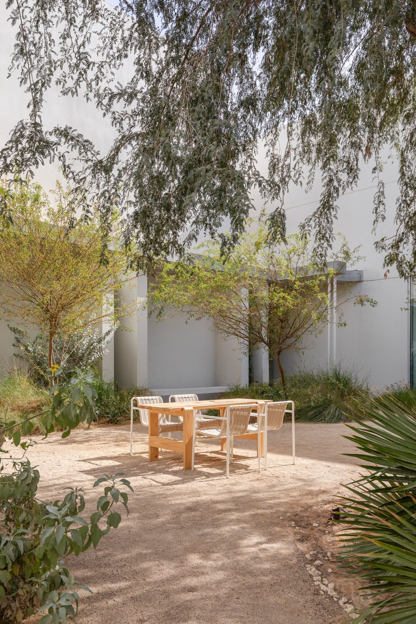 Paus Club Cafe Naturalistic Landscape Dubai - 8.jpeg