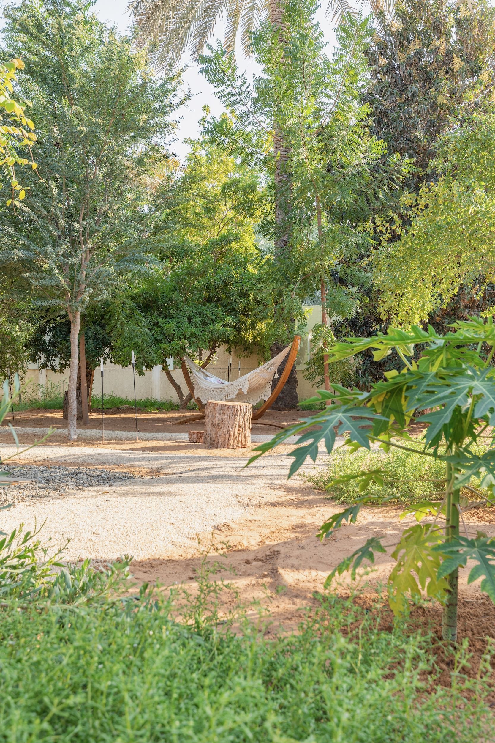 WILDEN secret garden Ras Al Khaimah UAE landscape design naturalistic repurposed wild - 12.jpeg