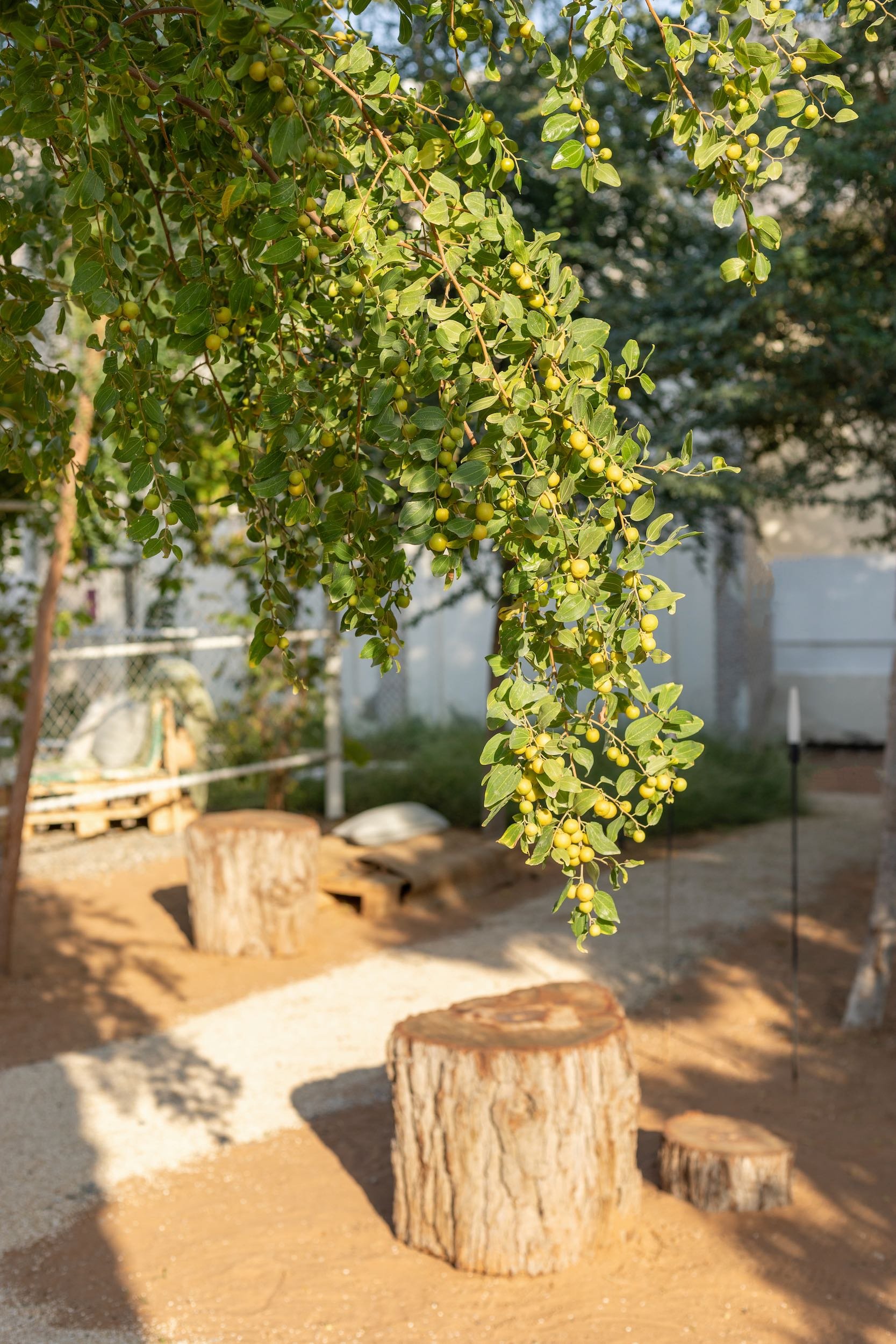 WILDEN secret garden Ras Al Khaimah UAE landscape design naturalistic repurposed wild - 3.jpeg