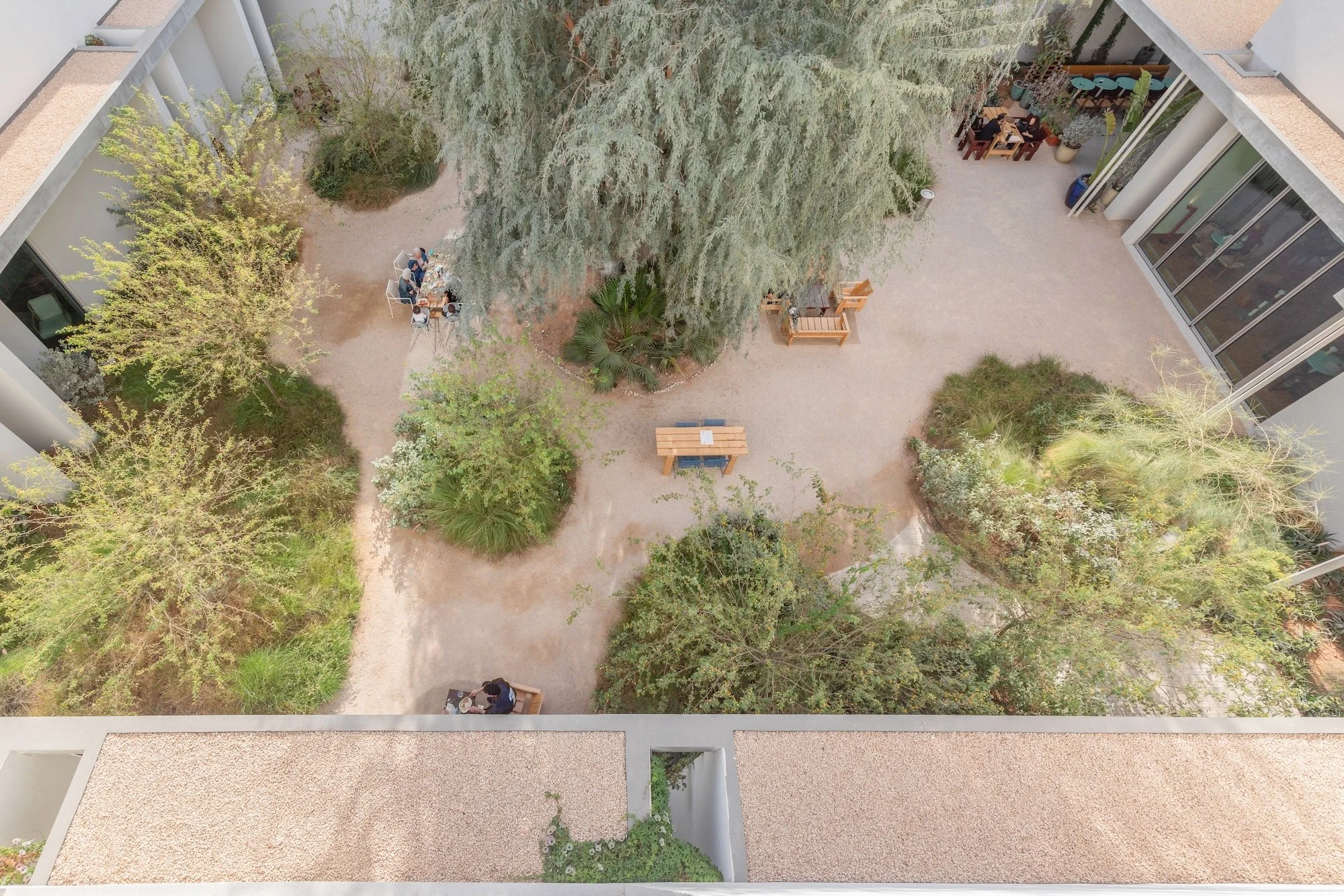 Paus Club Cafe Naturalistic Landscape Dubai - 14.jpeg