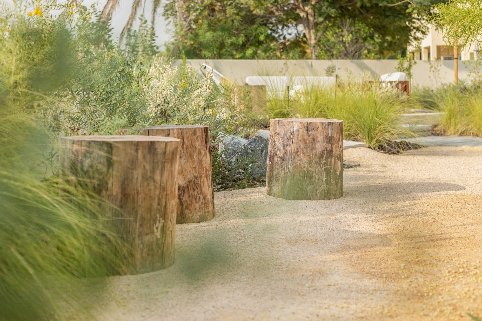 WILDEN Garden Design Desert Landscape Native Planting Saheel Arabian Ranches - 14.jpeg