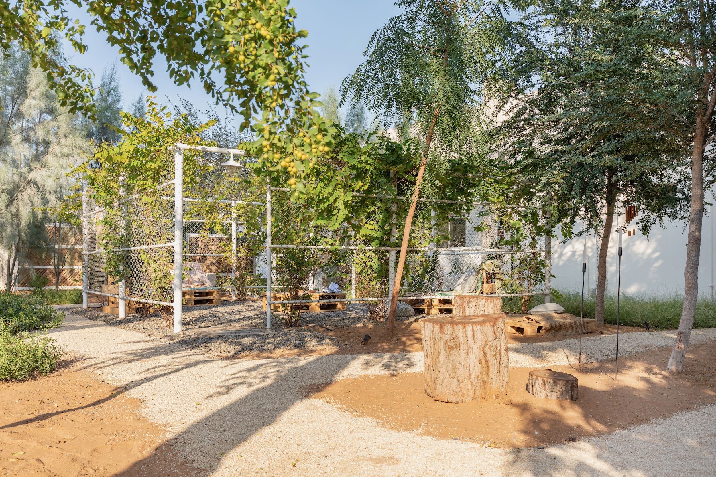 WILDEN secret garden Ras Al Khaimah UAE landscape design naturalistic repurposed wild - 16.jpeg