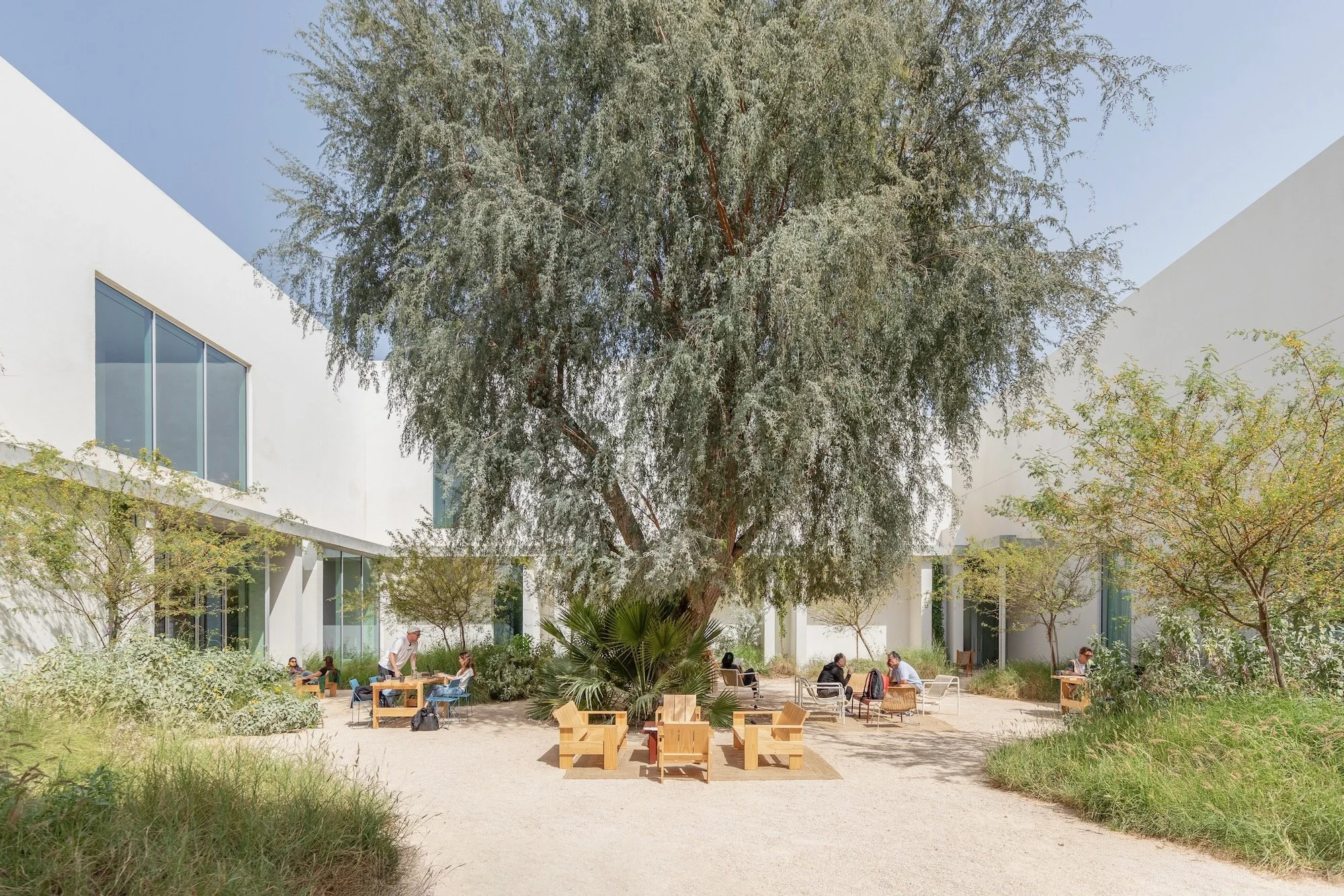 Paus Club Cafe Naturalistic Landscape Dubai - 15.jpeg