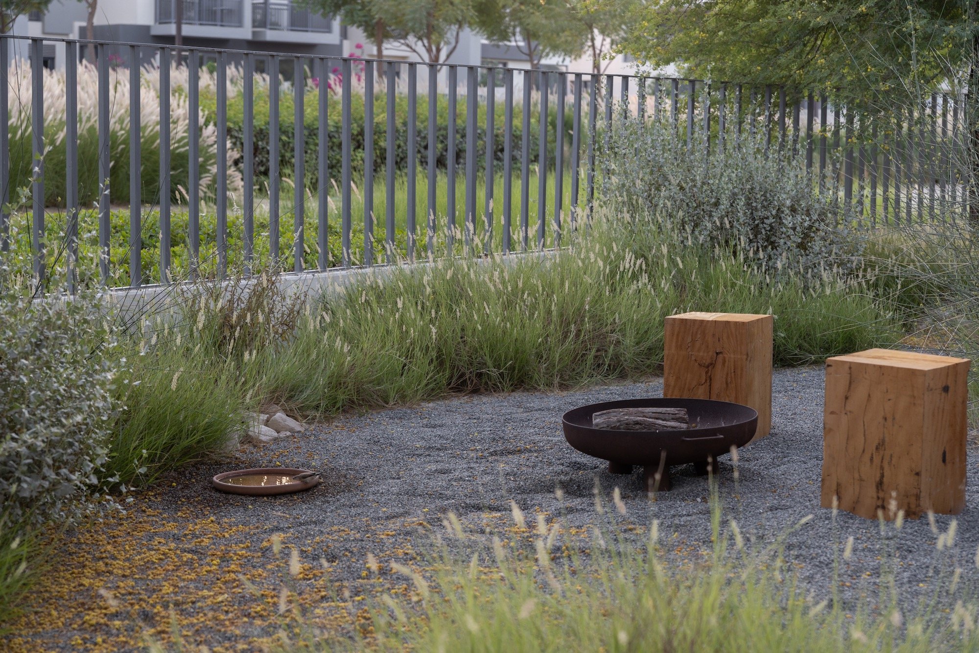 WILDEN Landscape Design Dubai Hills Garden Native Grass - 10.jpeg