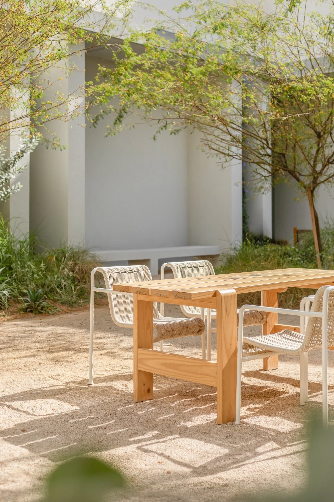 Paus Club Cafe Naturalistic Landscape Dubai - 9.jpeg