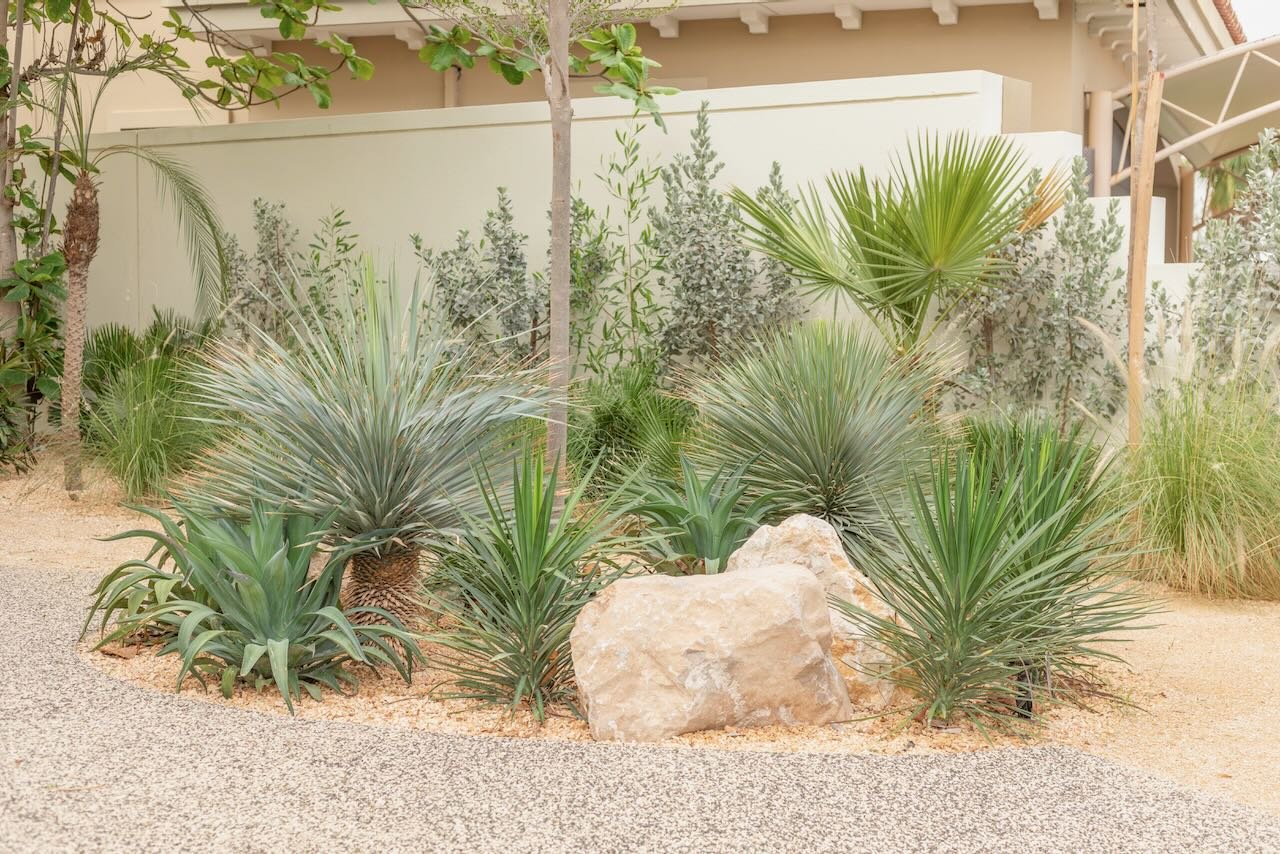 Dubai contemporary garden Sanctuary Falls WILDEN  - 2.jpeg