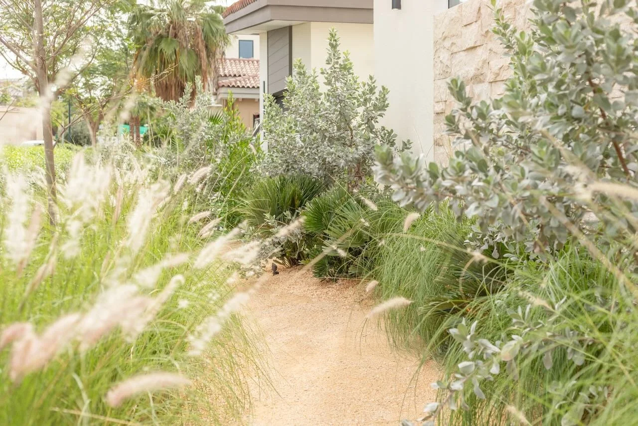 Dubai contemporary garden Sanctuary Falls WILDEN  - 8.jpeg