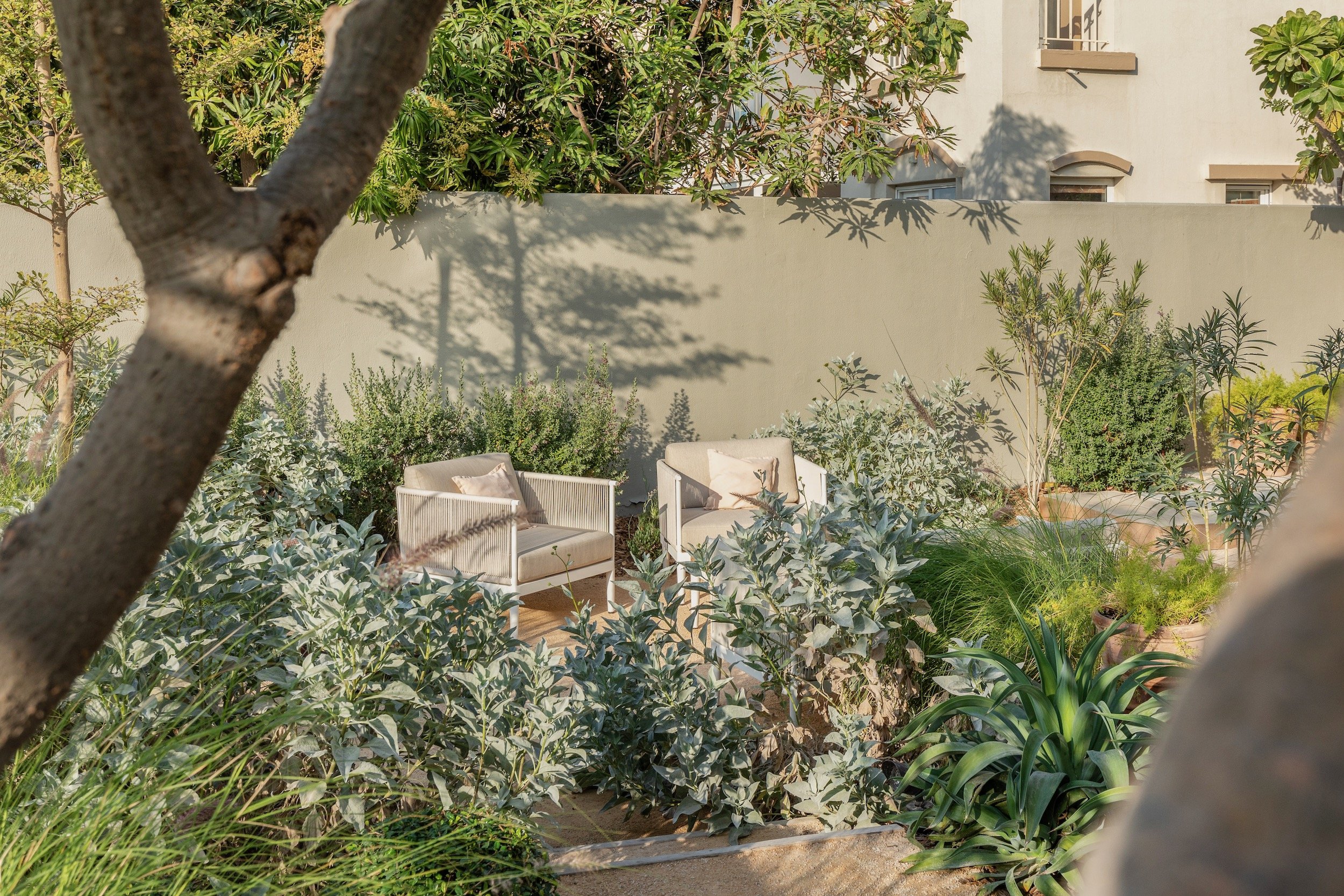 The Springs Dubai low water garden native planting desert lush naturalistic - 5.jpeg