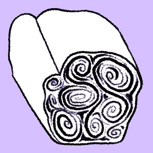 image9.jpeg