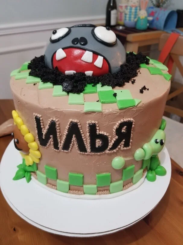 Plants v Zombies Cake.jpg