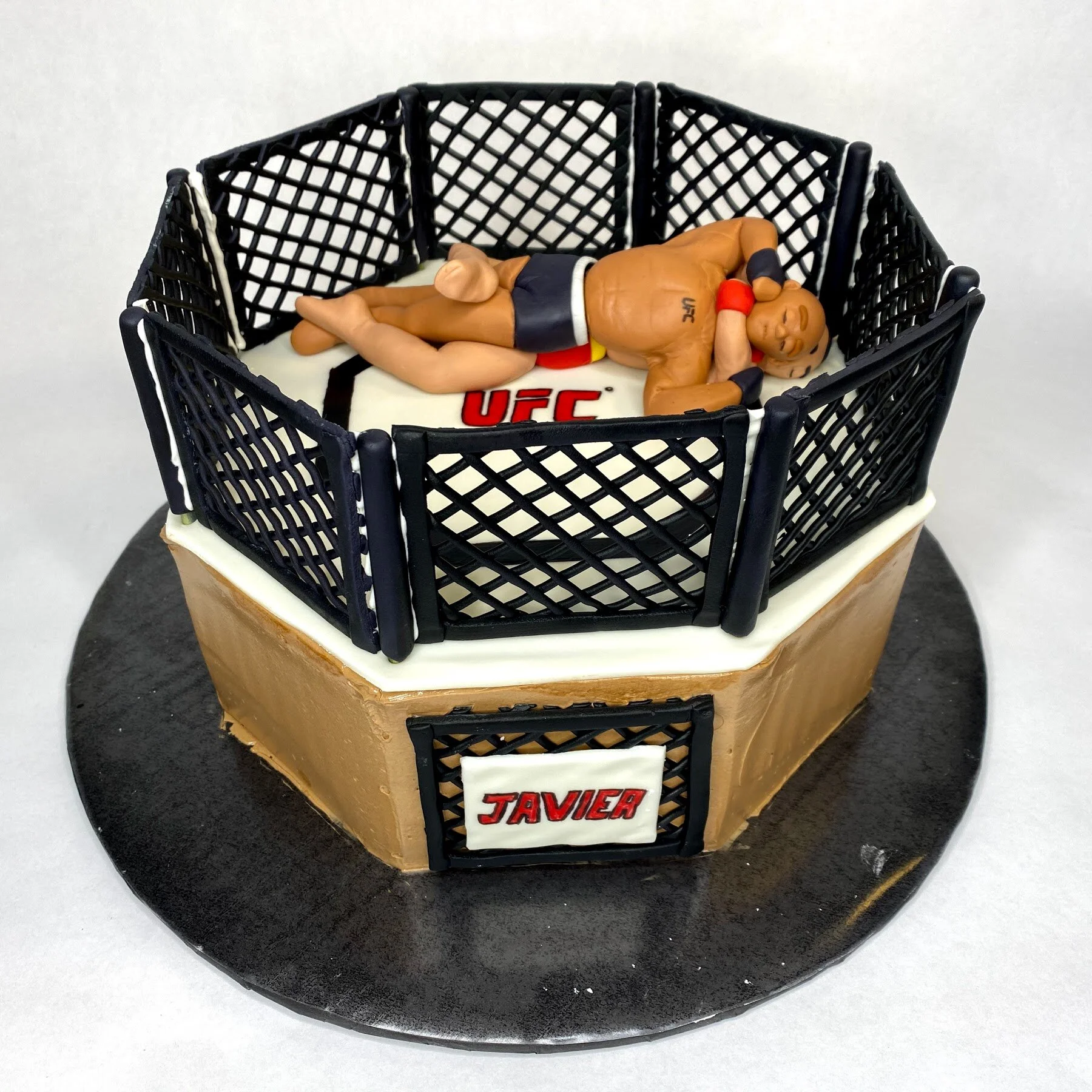 UFC Cake.jpg