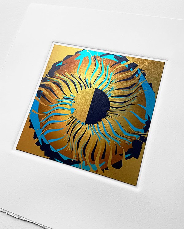  Spinnaker / EPC / foiled   