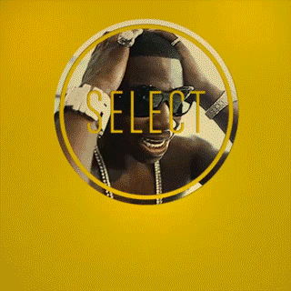 select_vid_1.gif