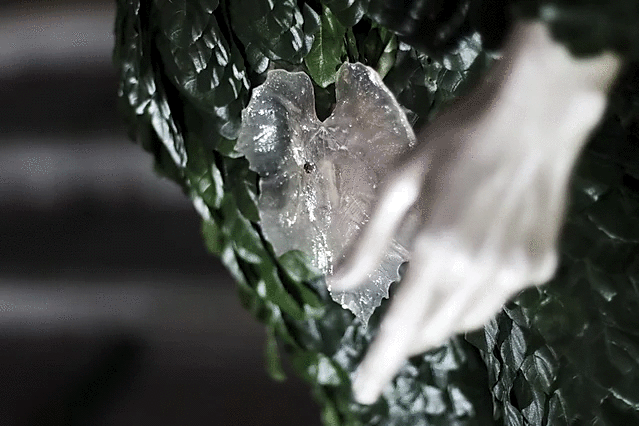 expo11.GIF