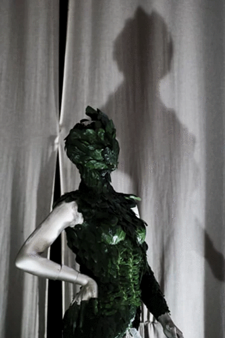 expo10.GIF