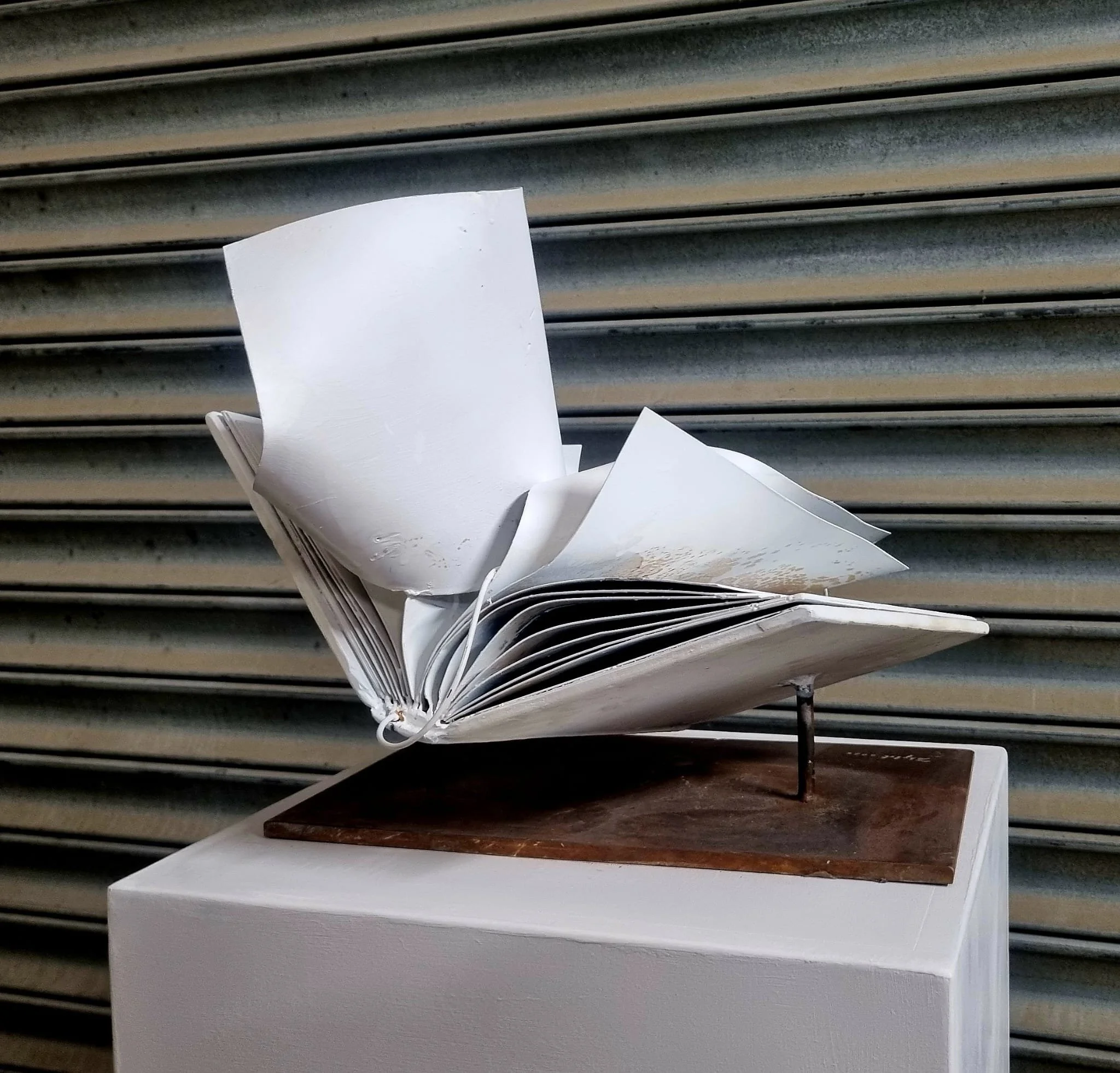 LE LIVRE BLANC 6.jpeg