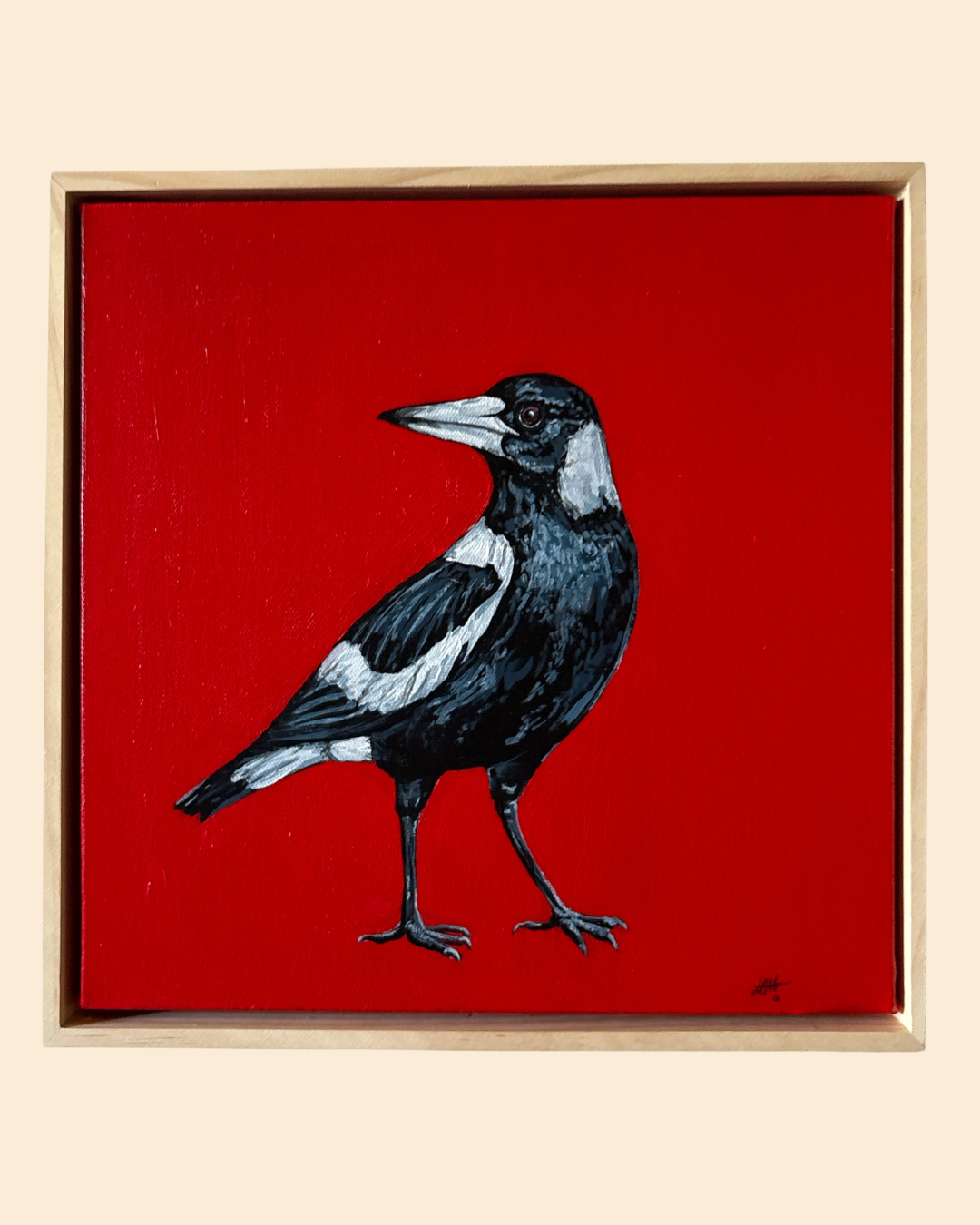 Mr Magpie