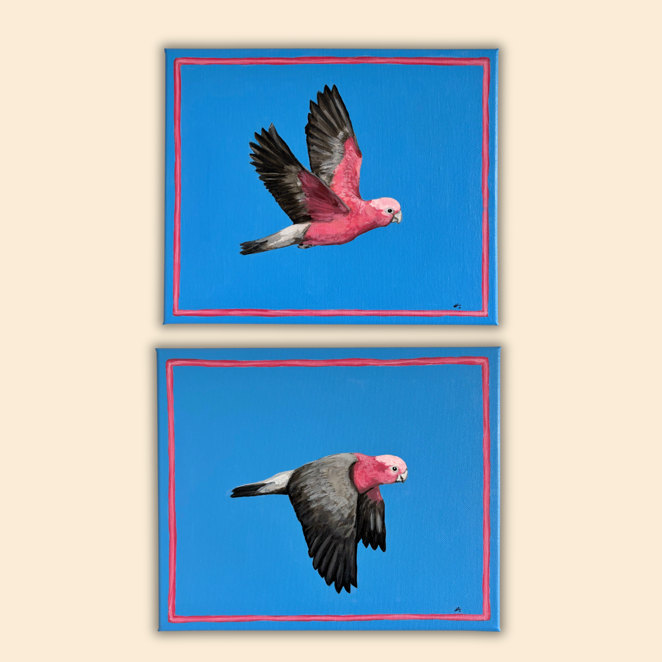 15.png
