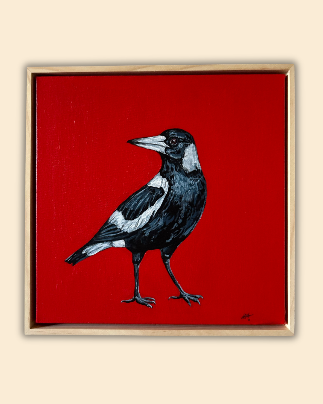 Mr Magpie