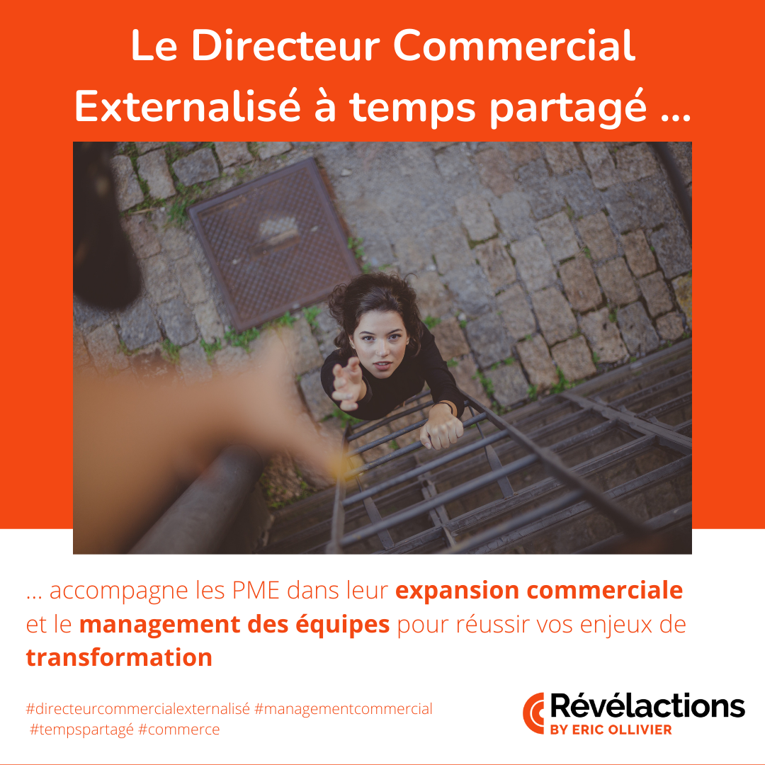 🟠 Un directeur commercial externalisé, ça sert à quoi ?