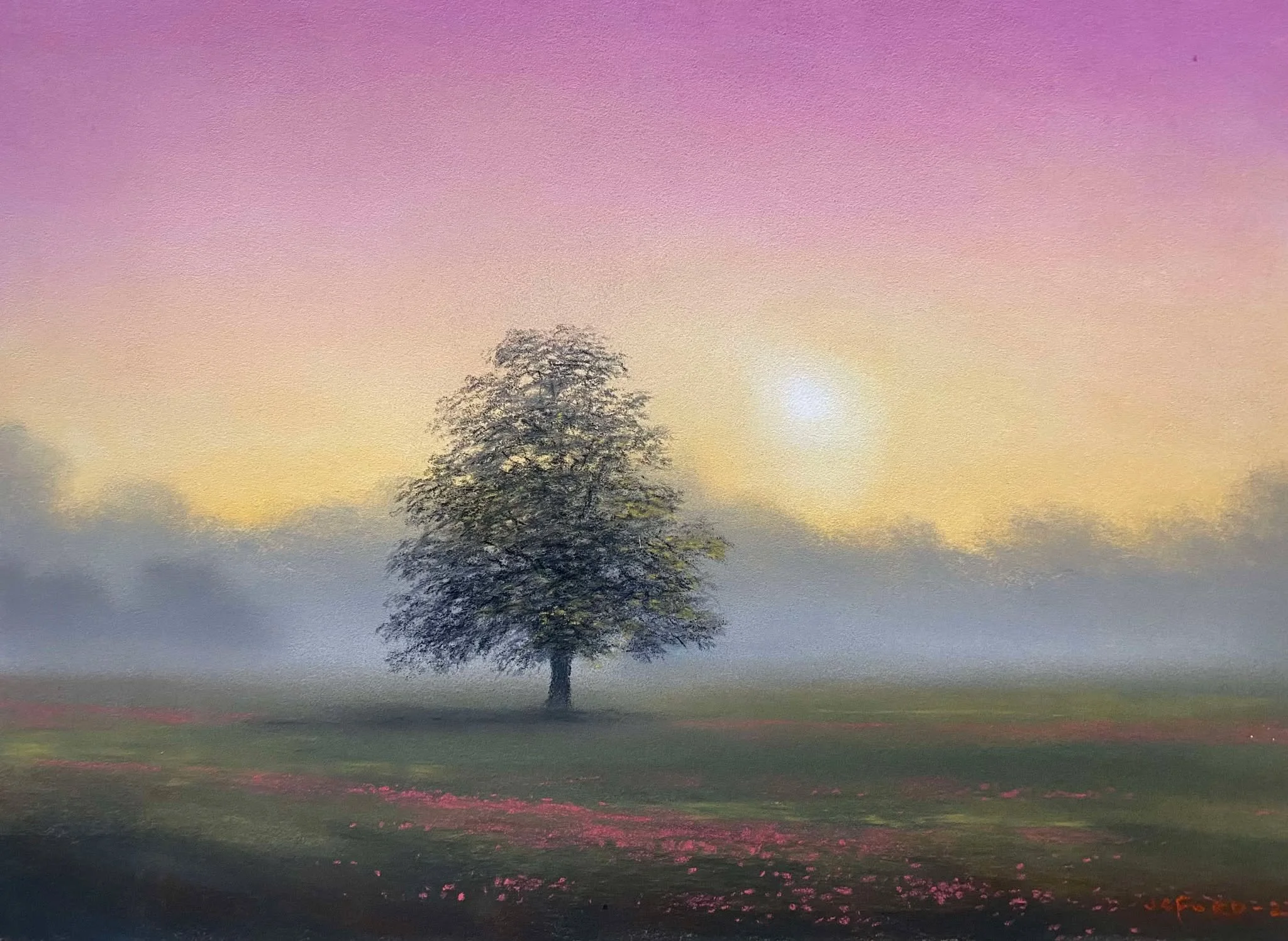 Jeremy ford Sunset Tree.jpg