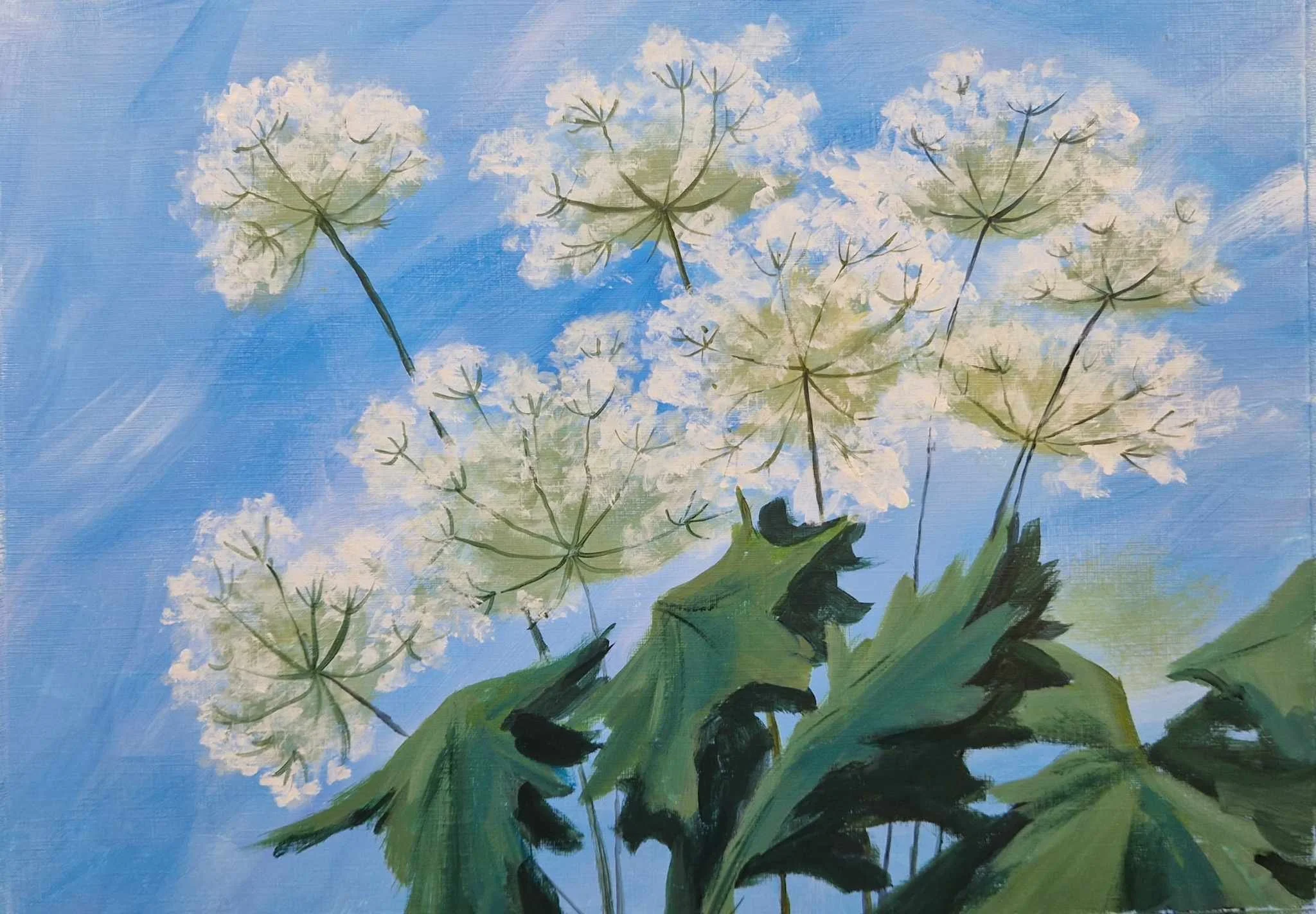 Denise Allen Cow Parsley in Acrylic.jpg
