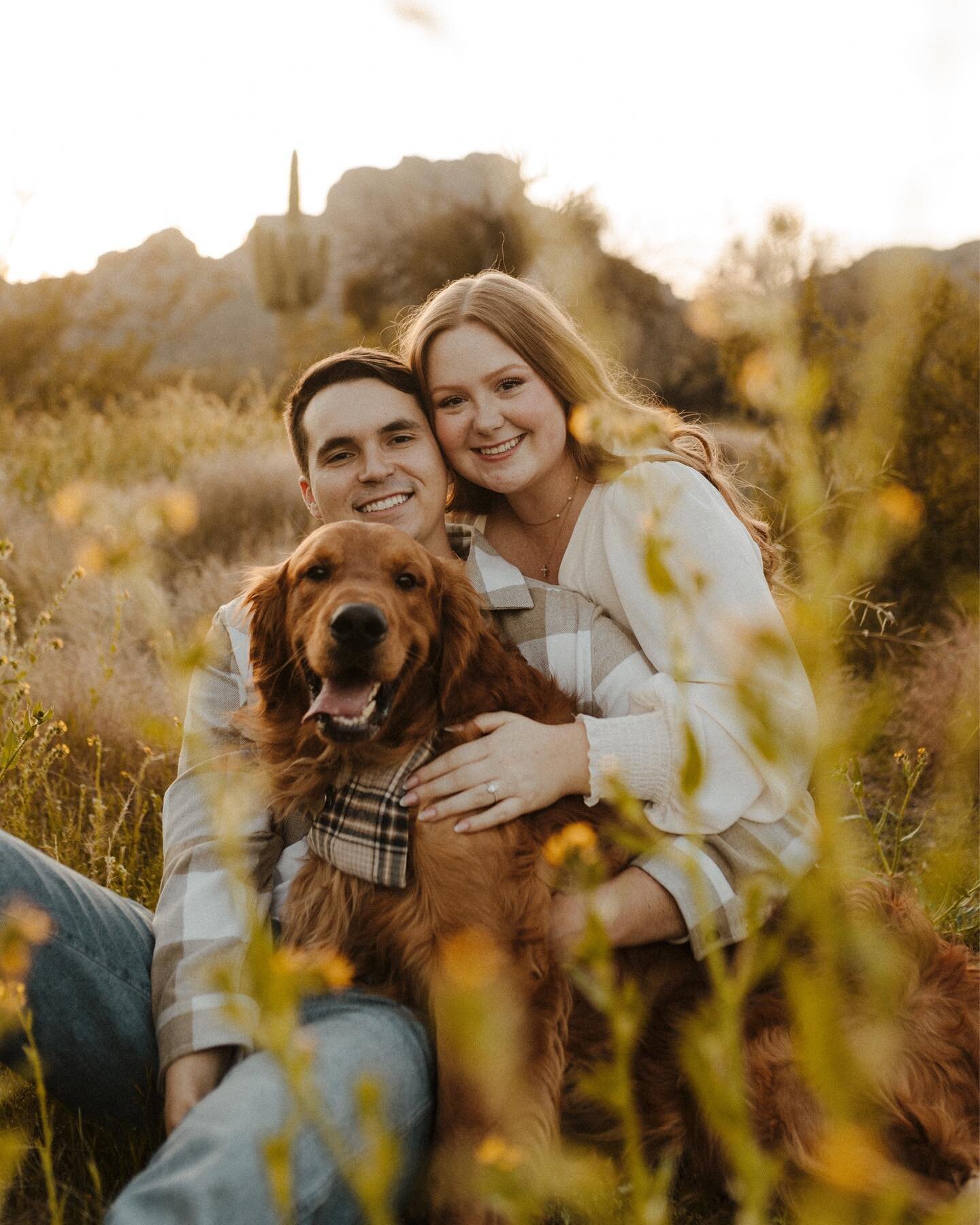 The answer is always yes when my couples ask to bring their fur babies to their engagement session 🥹🥹

#arizonaengagementphotographer #arizonaweddingphotographer #azweddingphotographer #engagementpictures #enagementsession #azphotographer #deserten